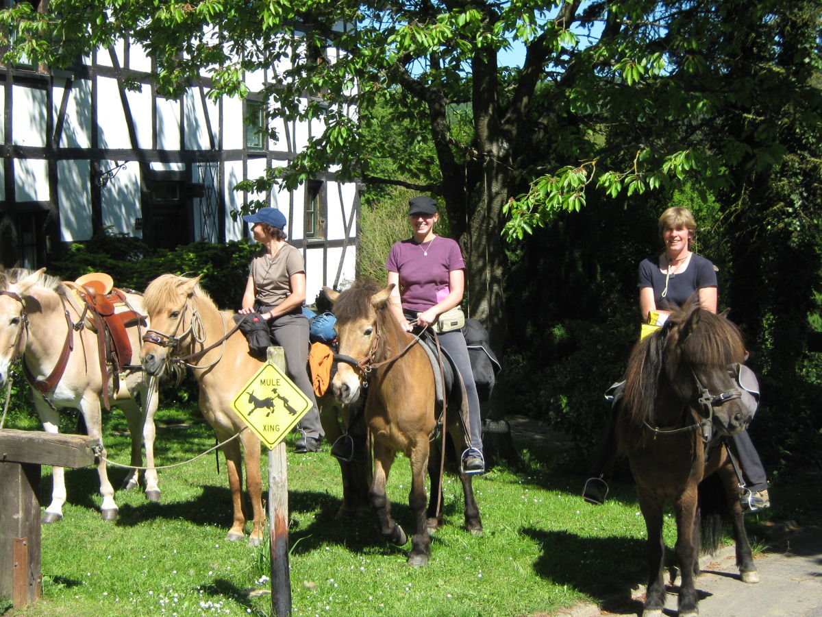 Natuurhuisje in Honerath