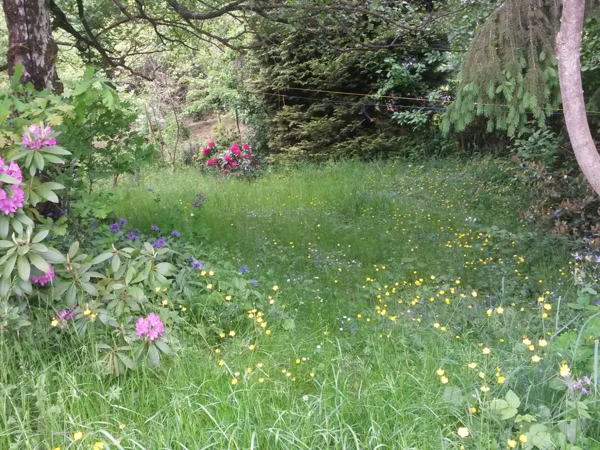 Natuurhuisje in Honerath