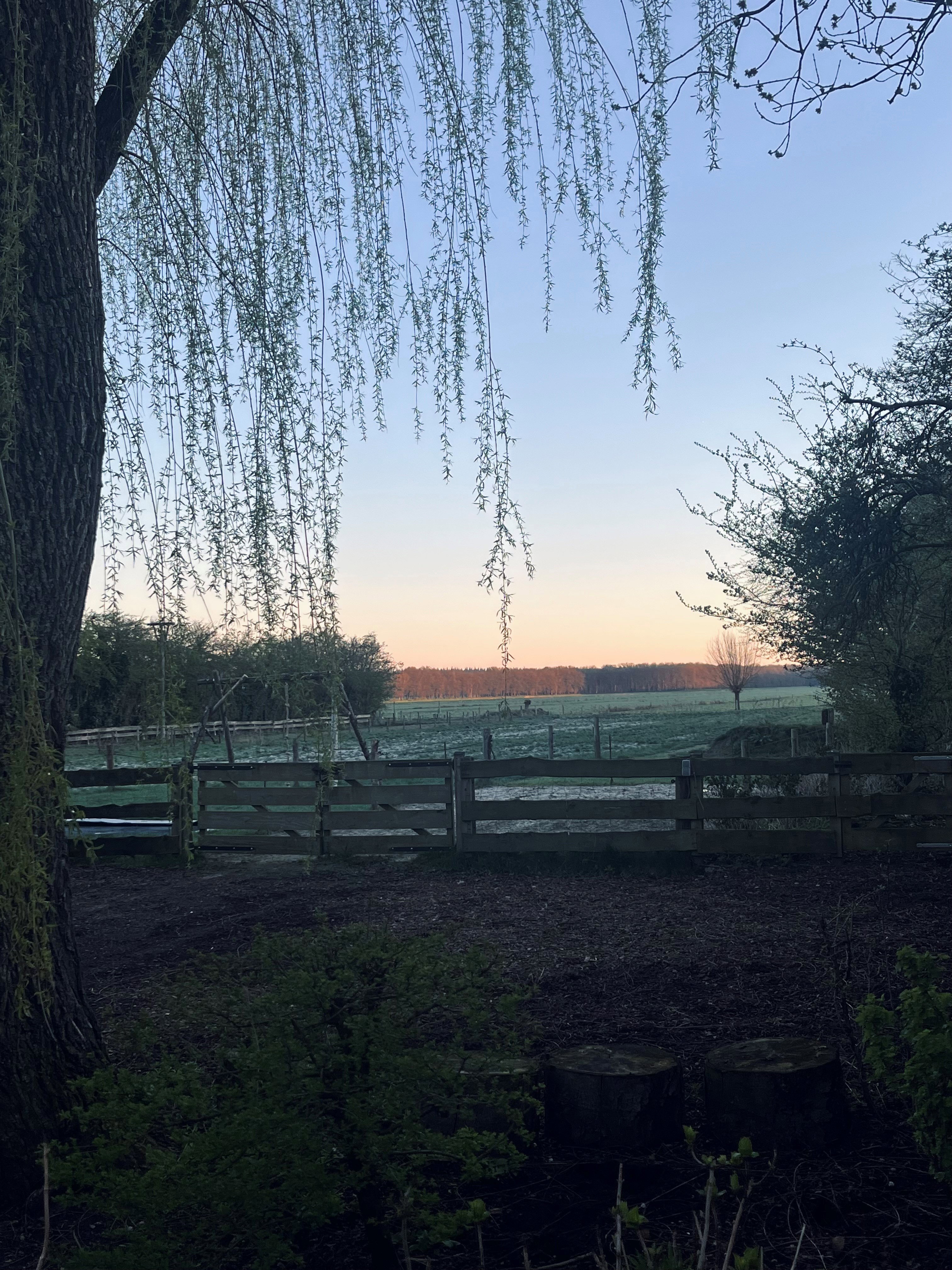 Natuurhuisje in Maartensdijk