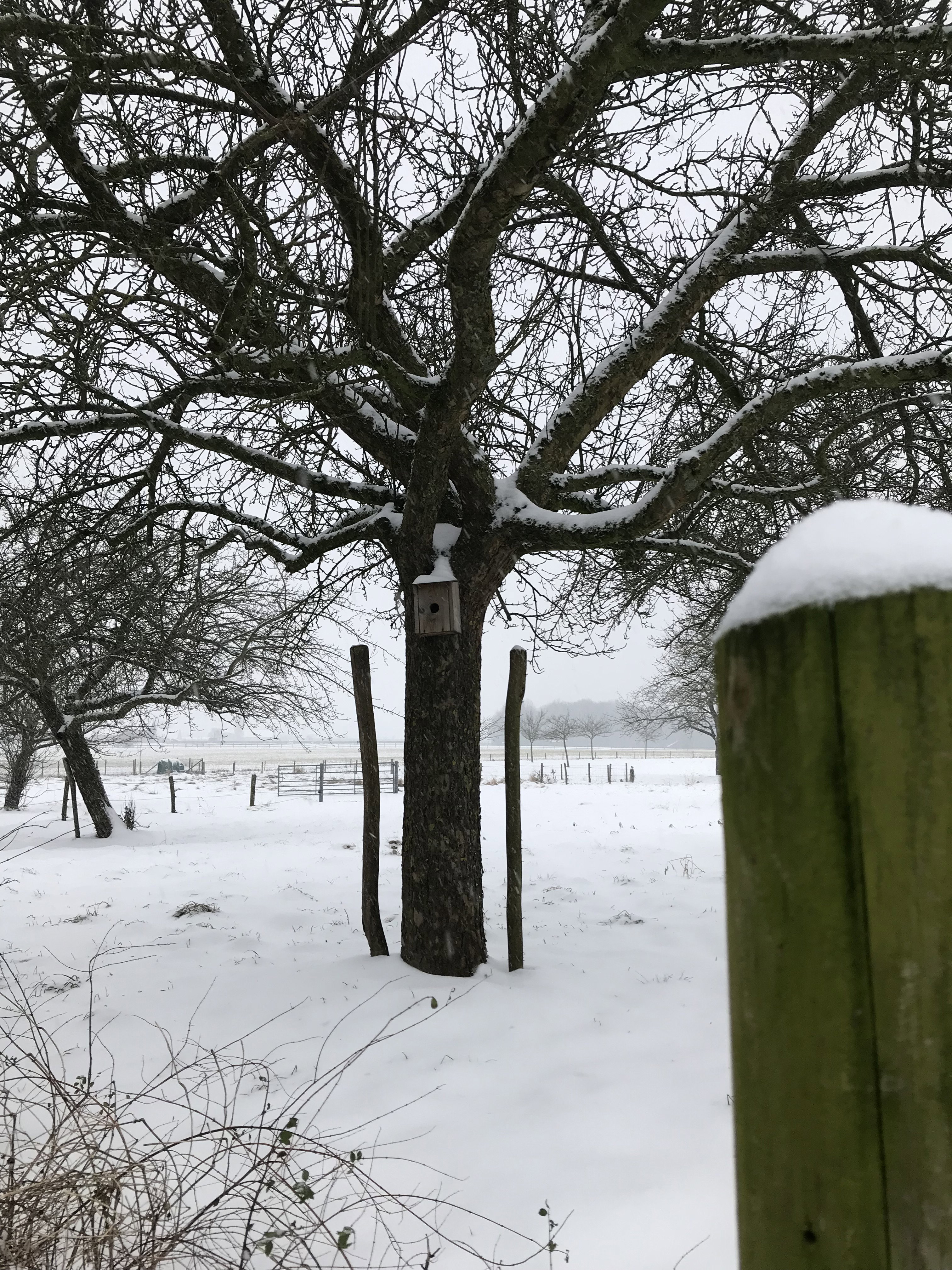 Natuurhuisje in Heijenrath