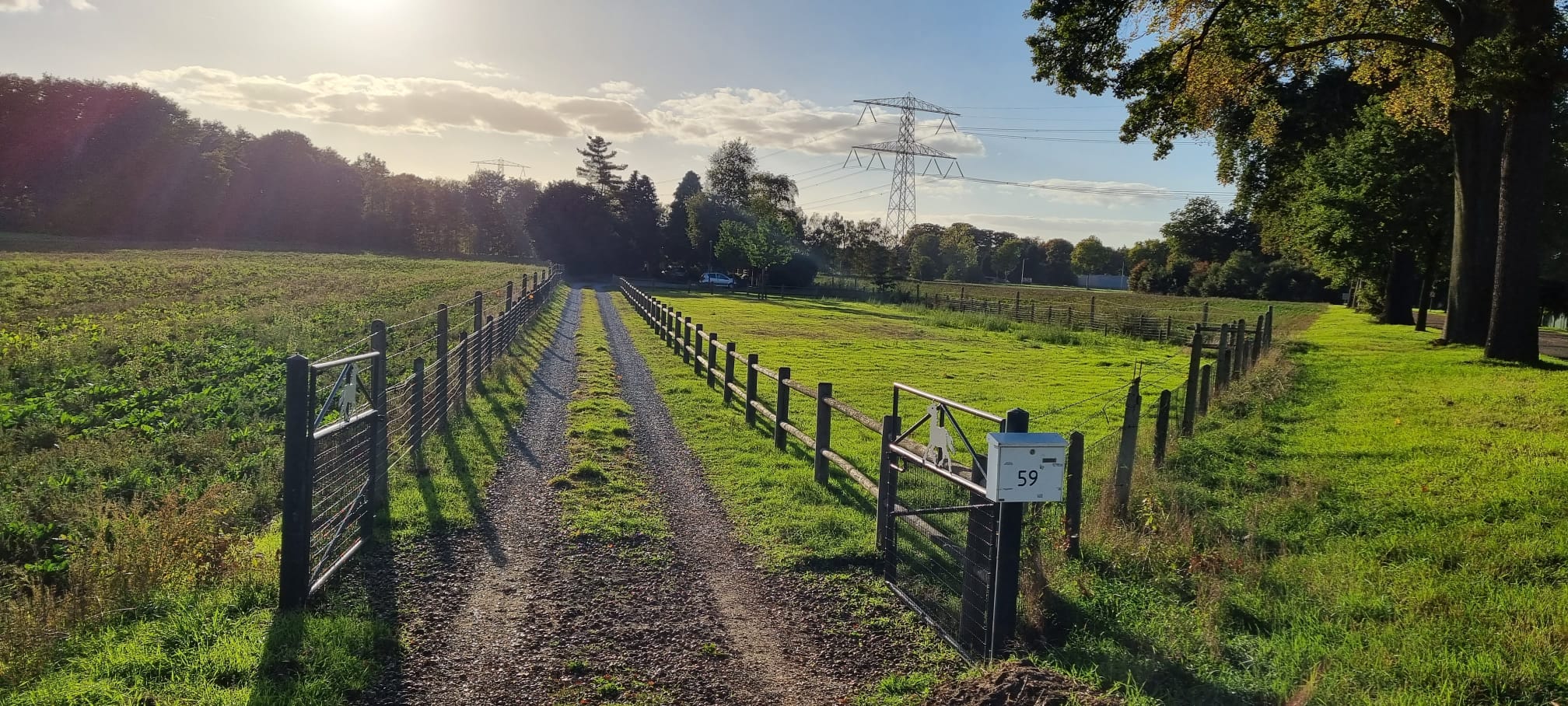 Naturhäuschen in Horn