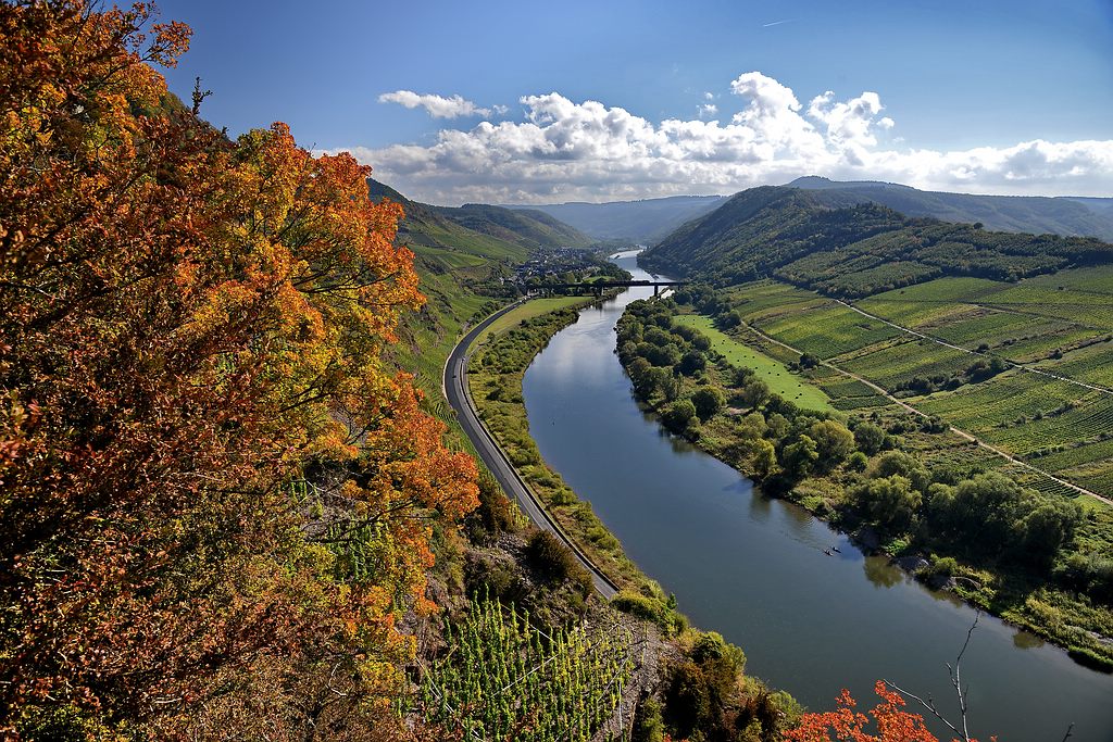 - image: 22