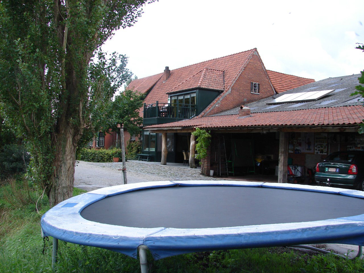 - image: 11