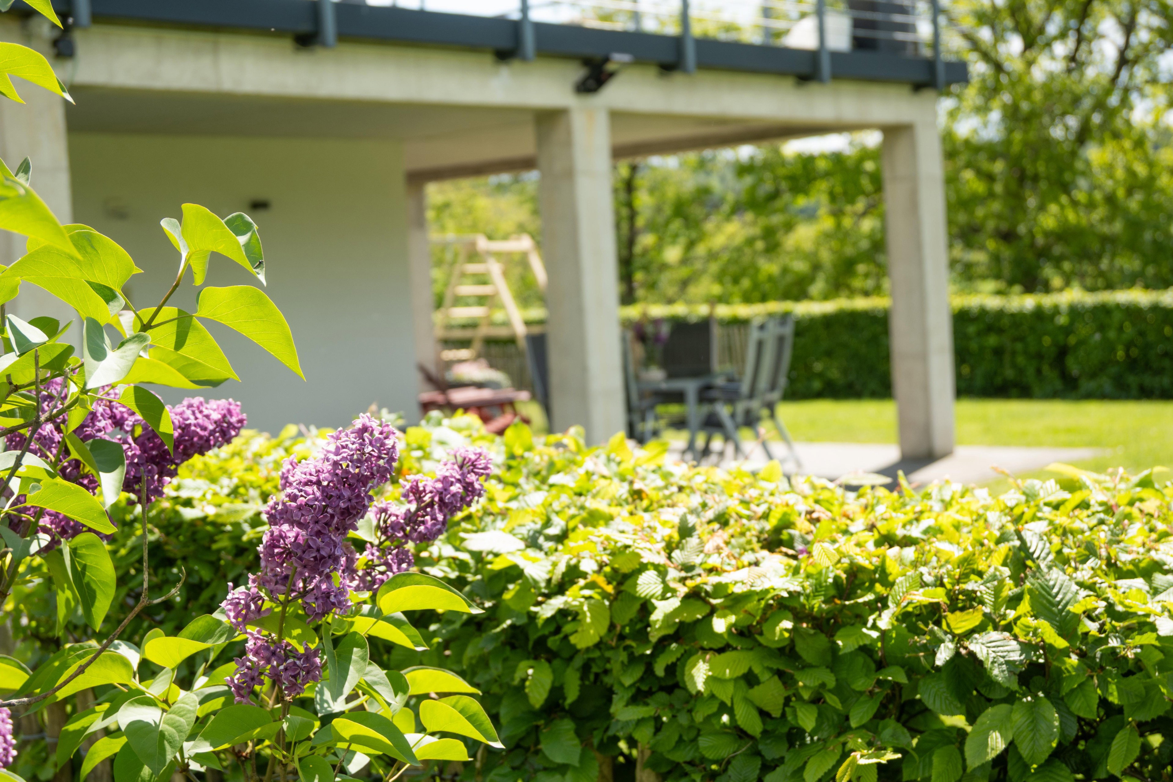 Casa nella natura a Friesenhagen