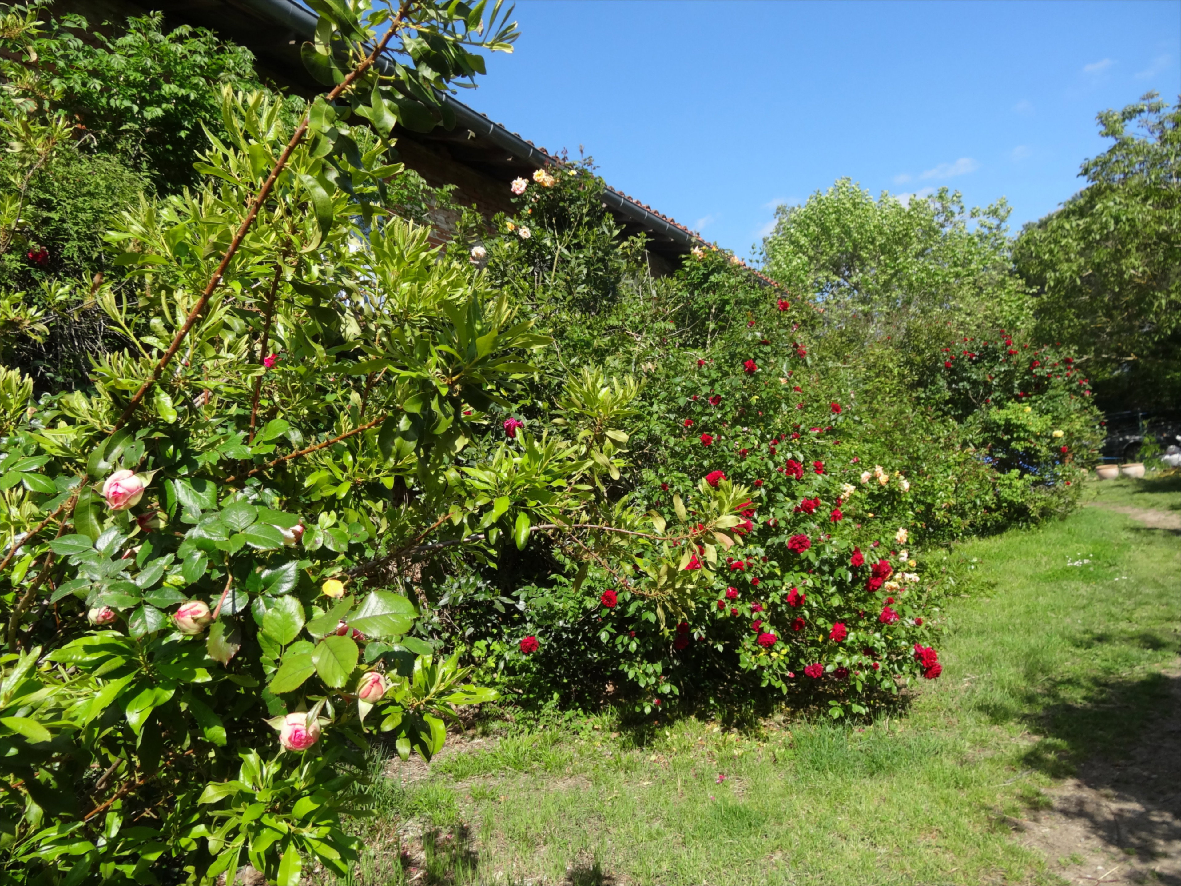 Natuurhuisje in MONTBRUN LAURAGAIS