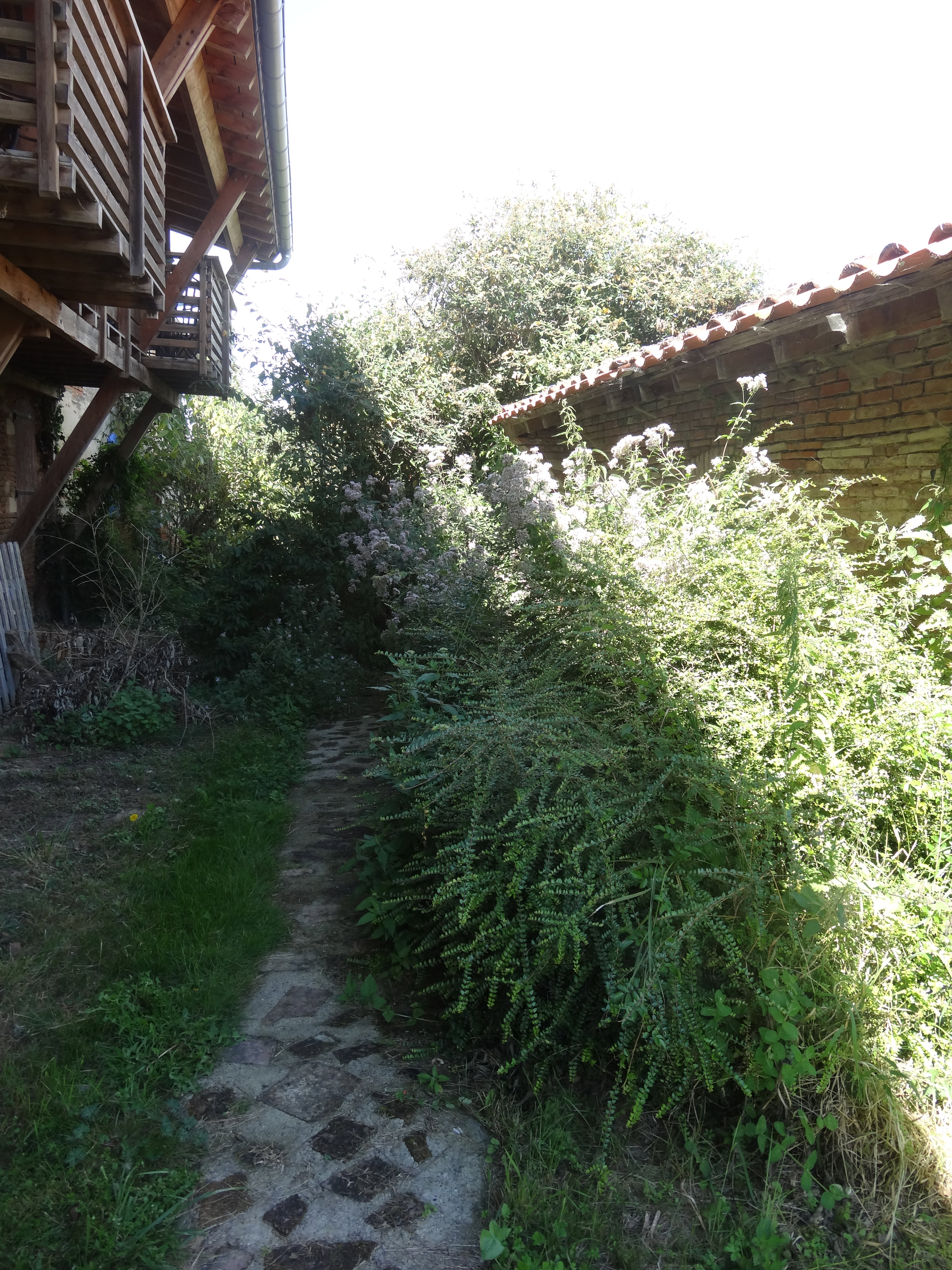 - image: 16