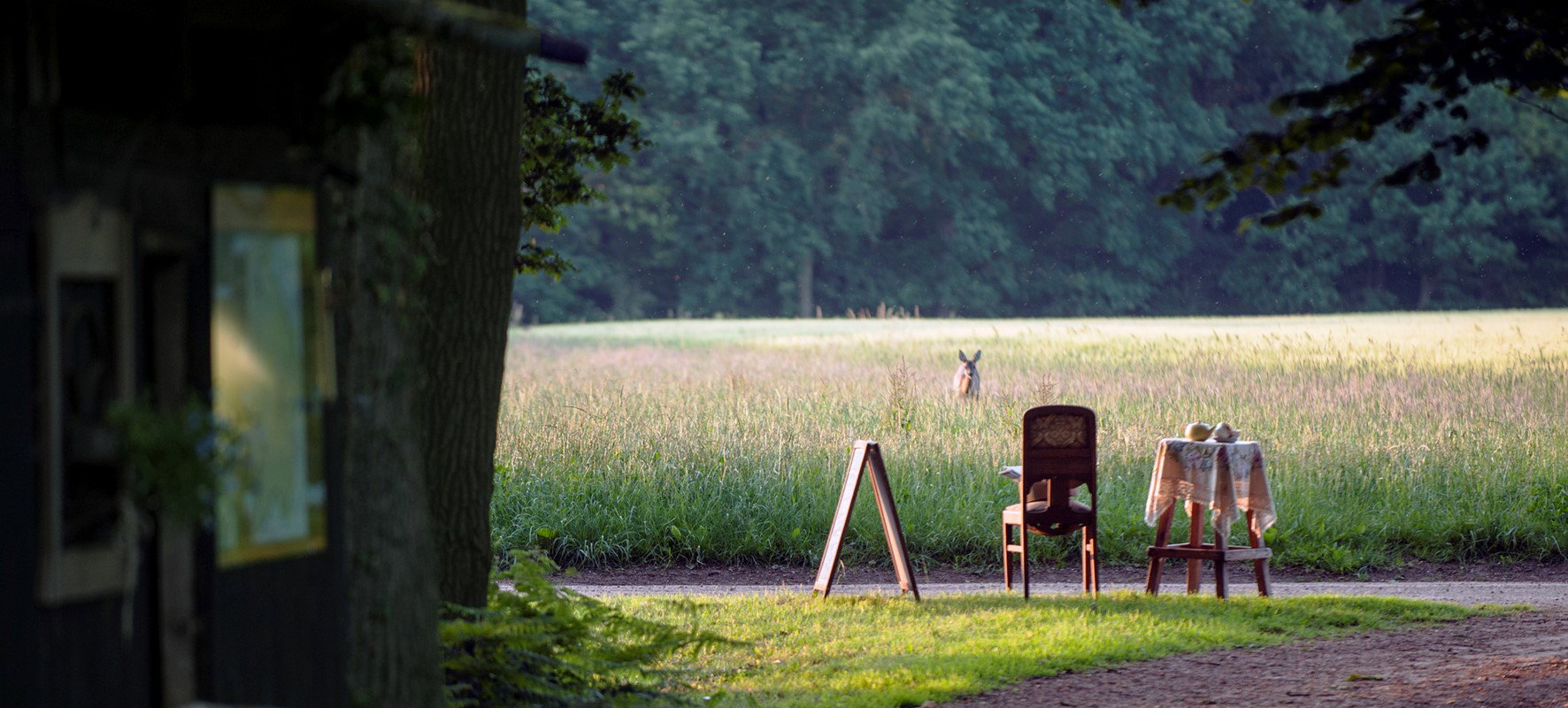 Naturhäuschen in Winterswijk
