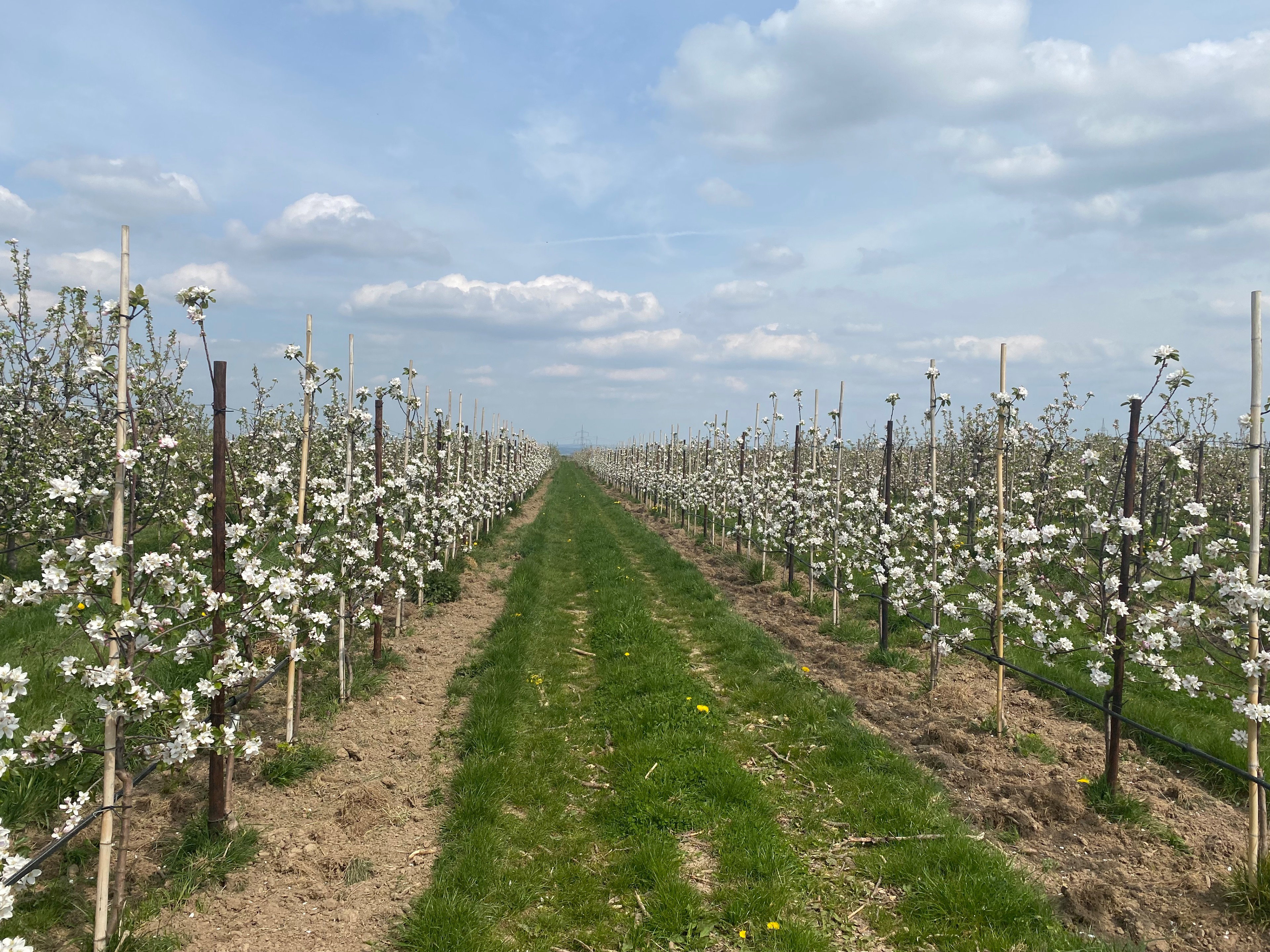 Naturhäuschen in Nideggen-Berg