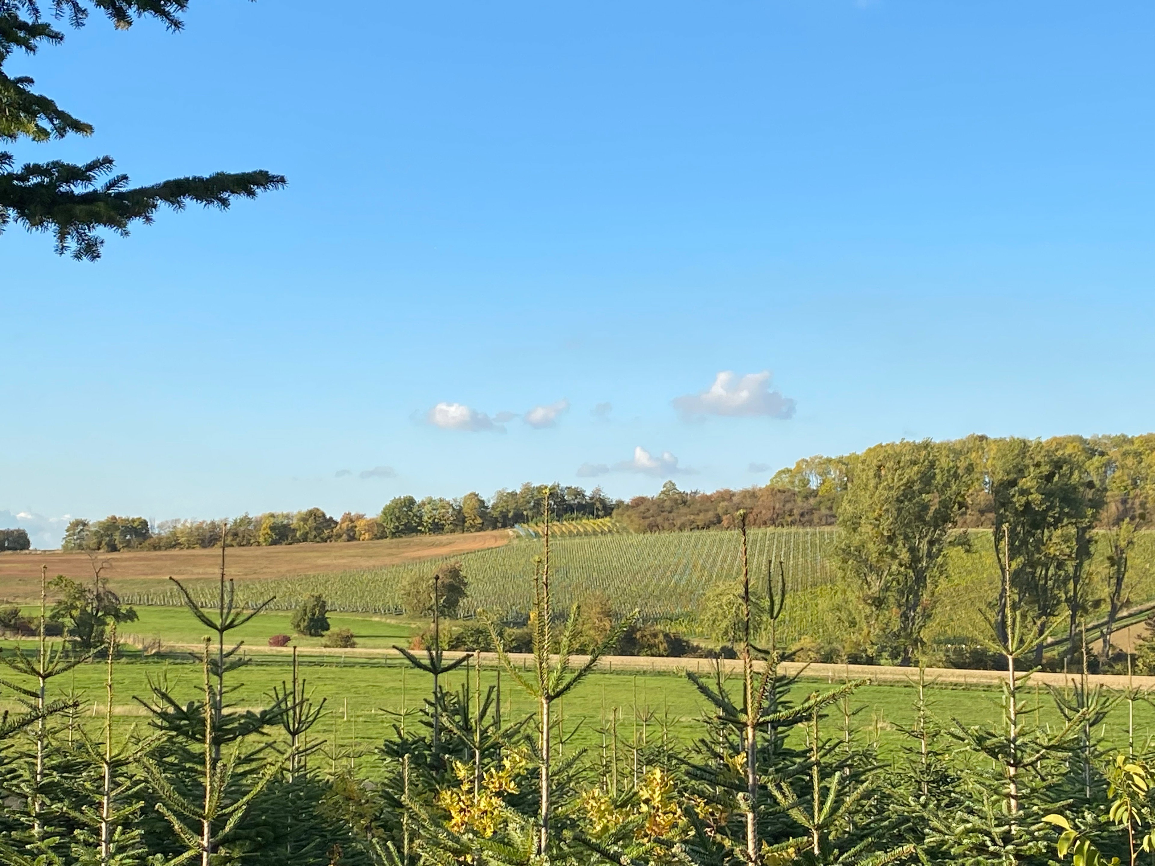 Naturhäuschen in Nideggen-Berg