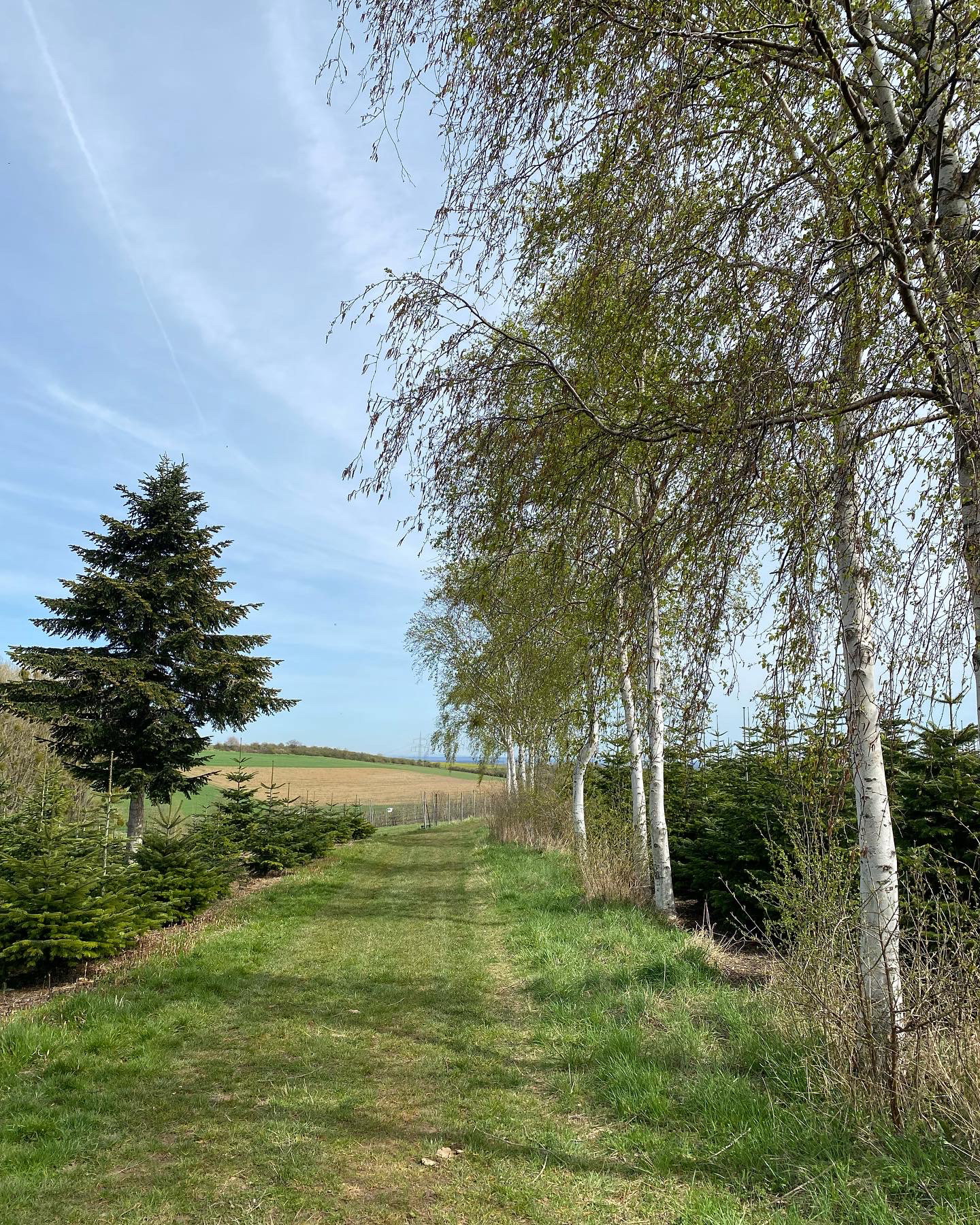 Naturhäuschen in Nideggen-Berg