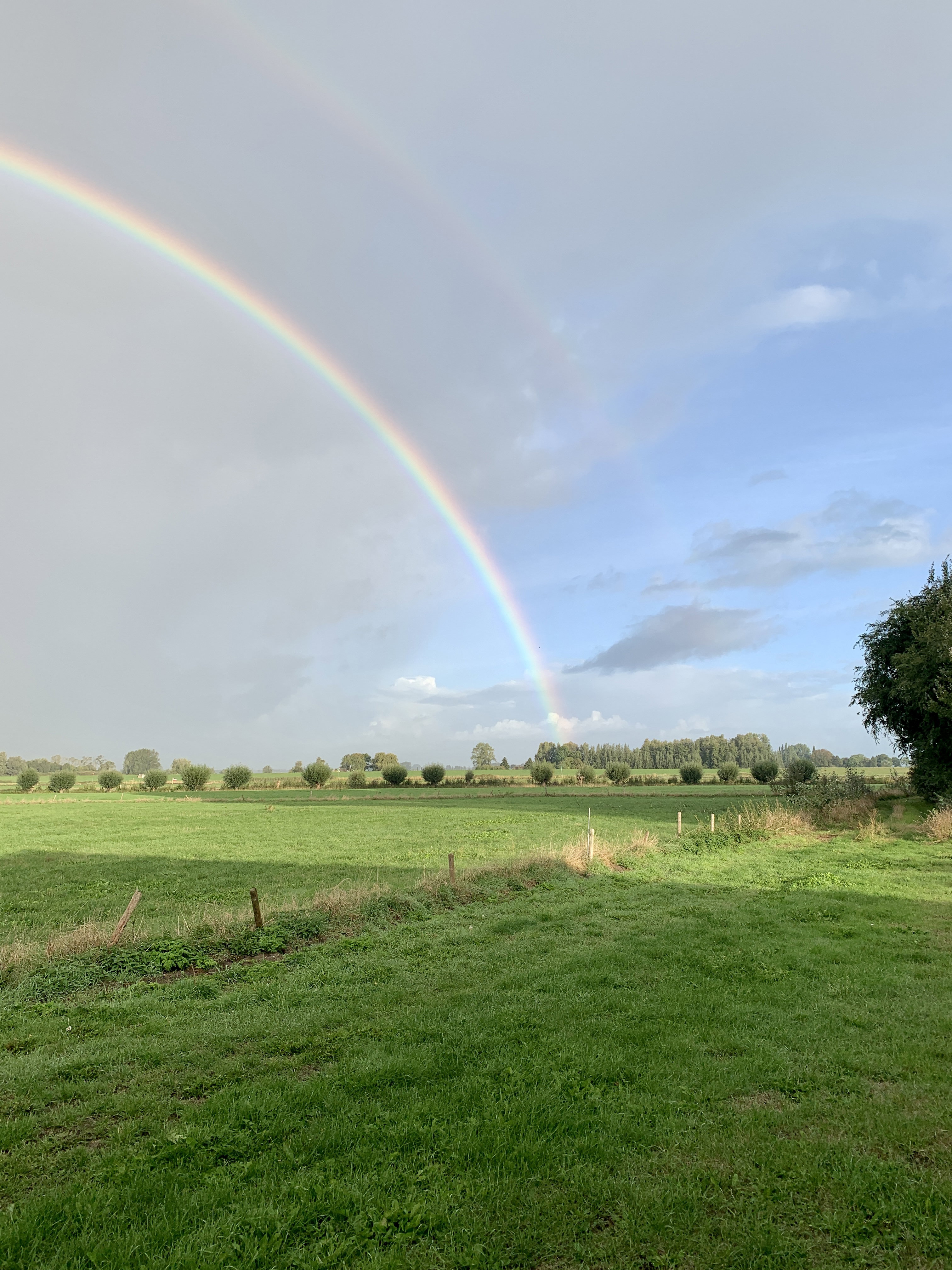 Natuurhuisje in Zalk