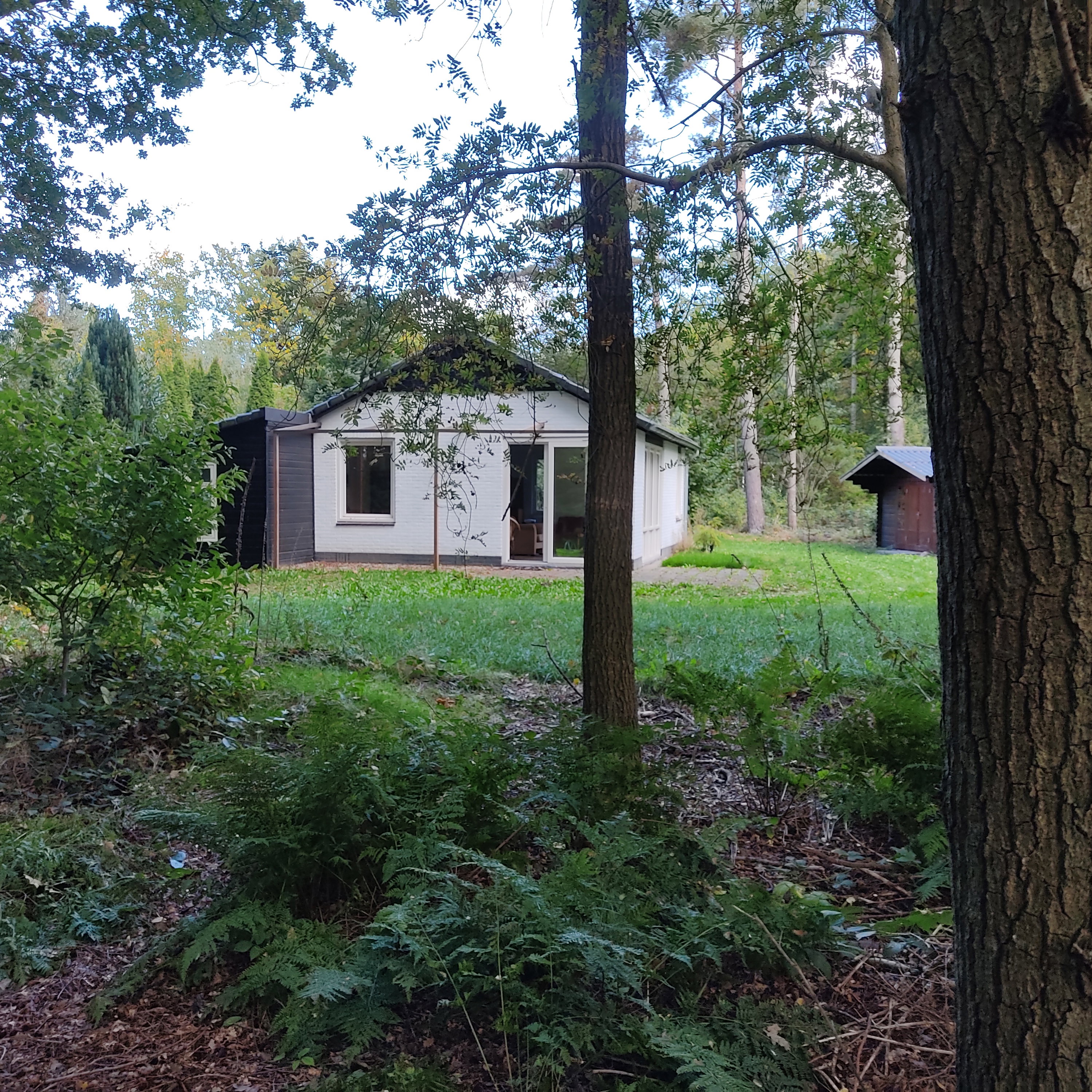 Natuurhuisje in Gasselte