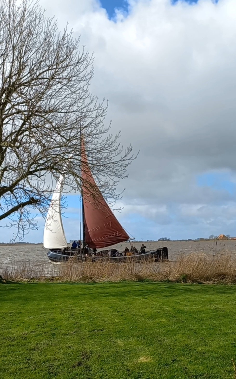 - image: 30