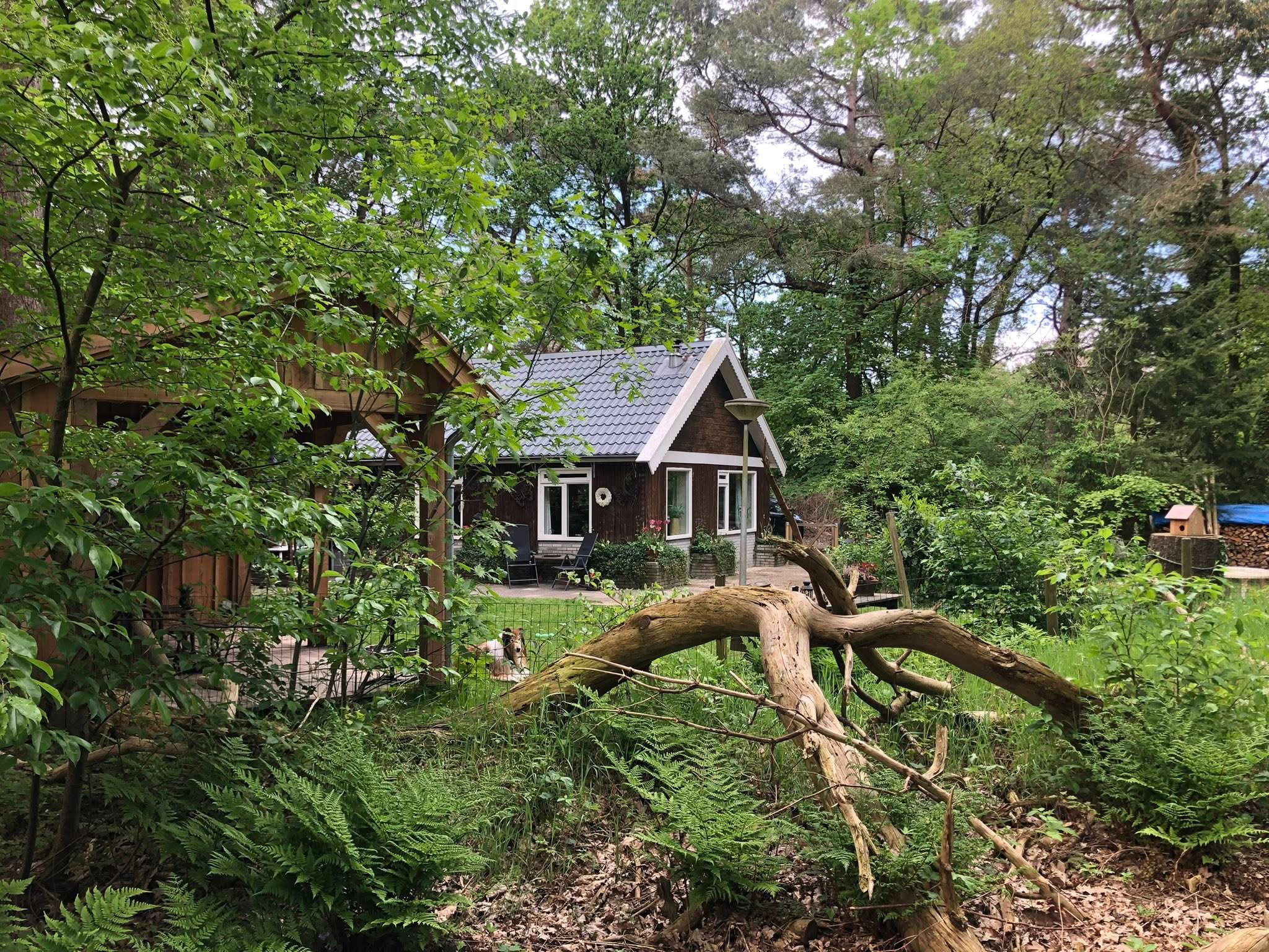 Casa nella natura a Steenbergen