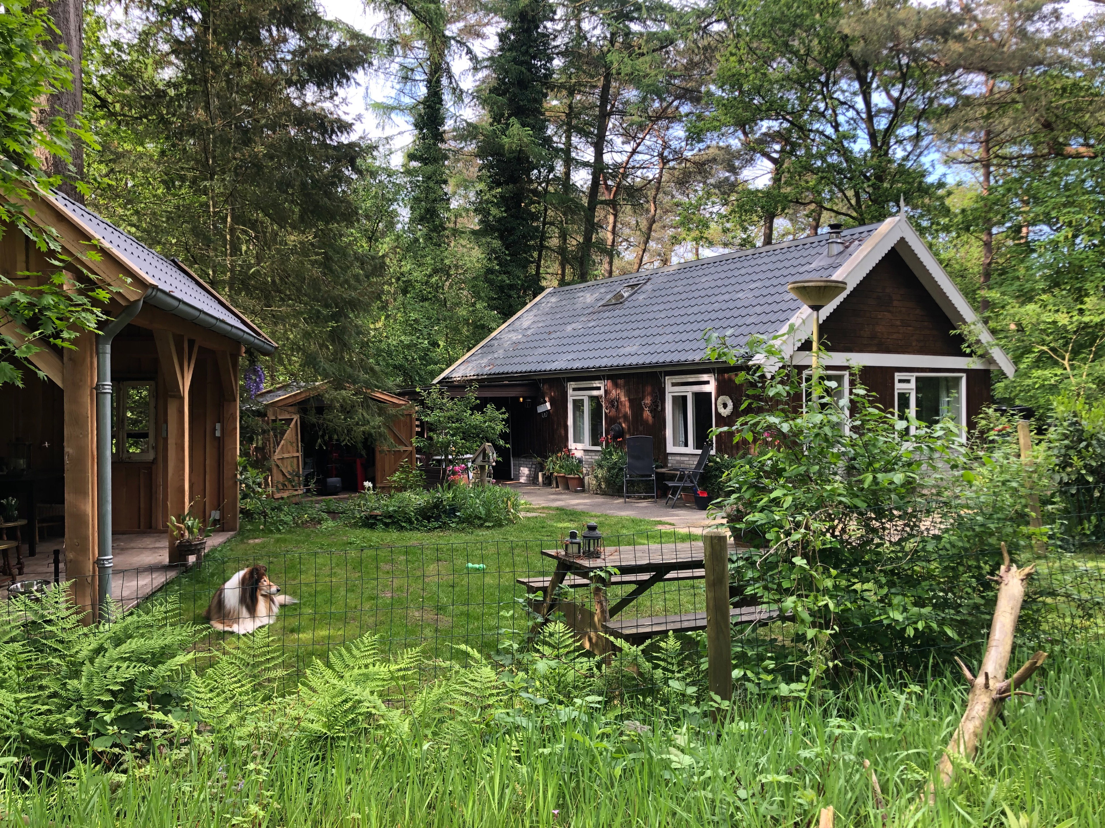Casa nella natura a Steenbergen