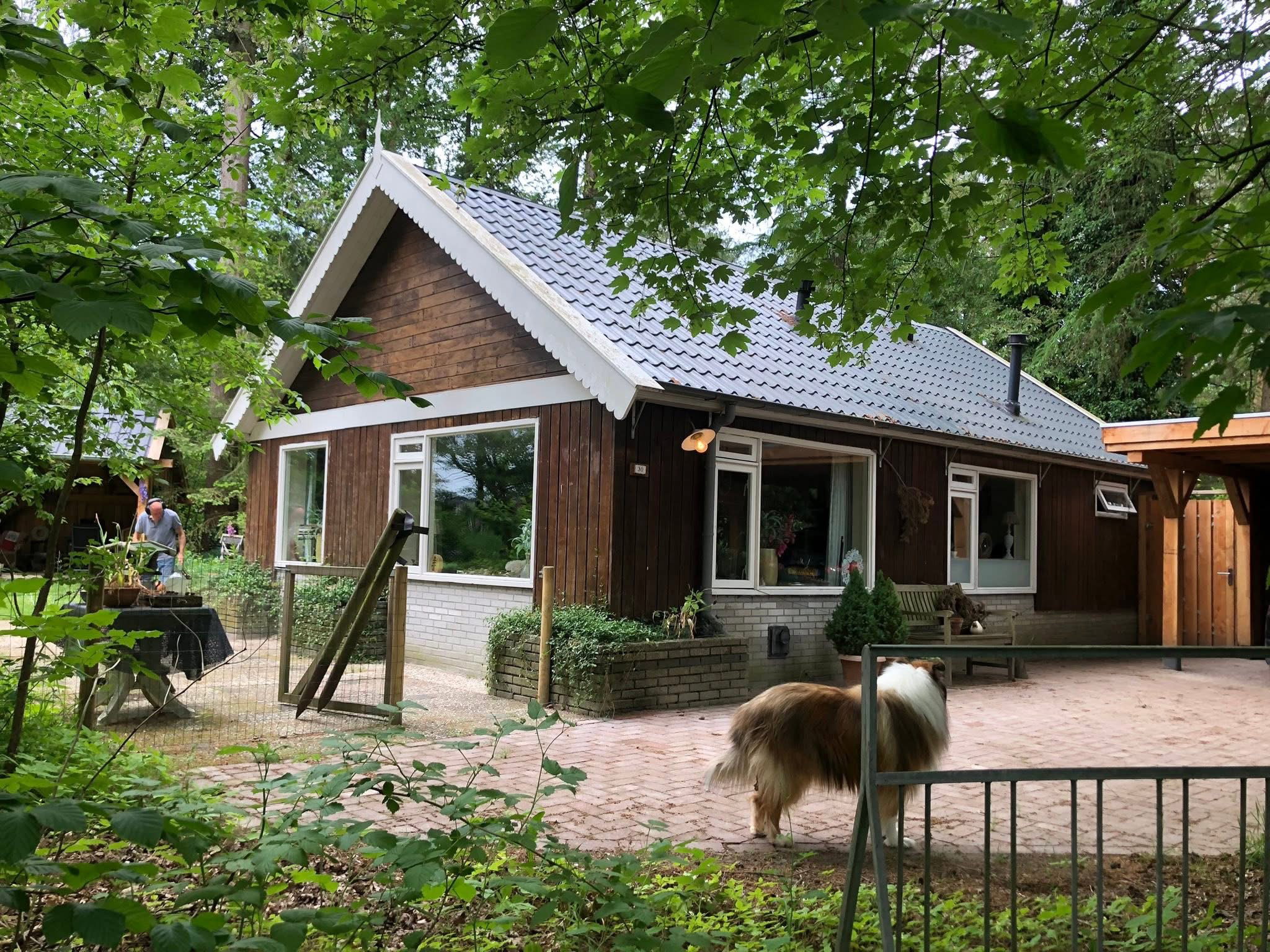 Casa nella natura a Steenbergen