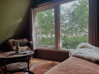 - image: 40