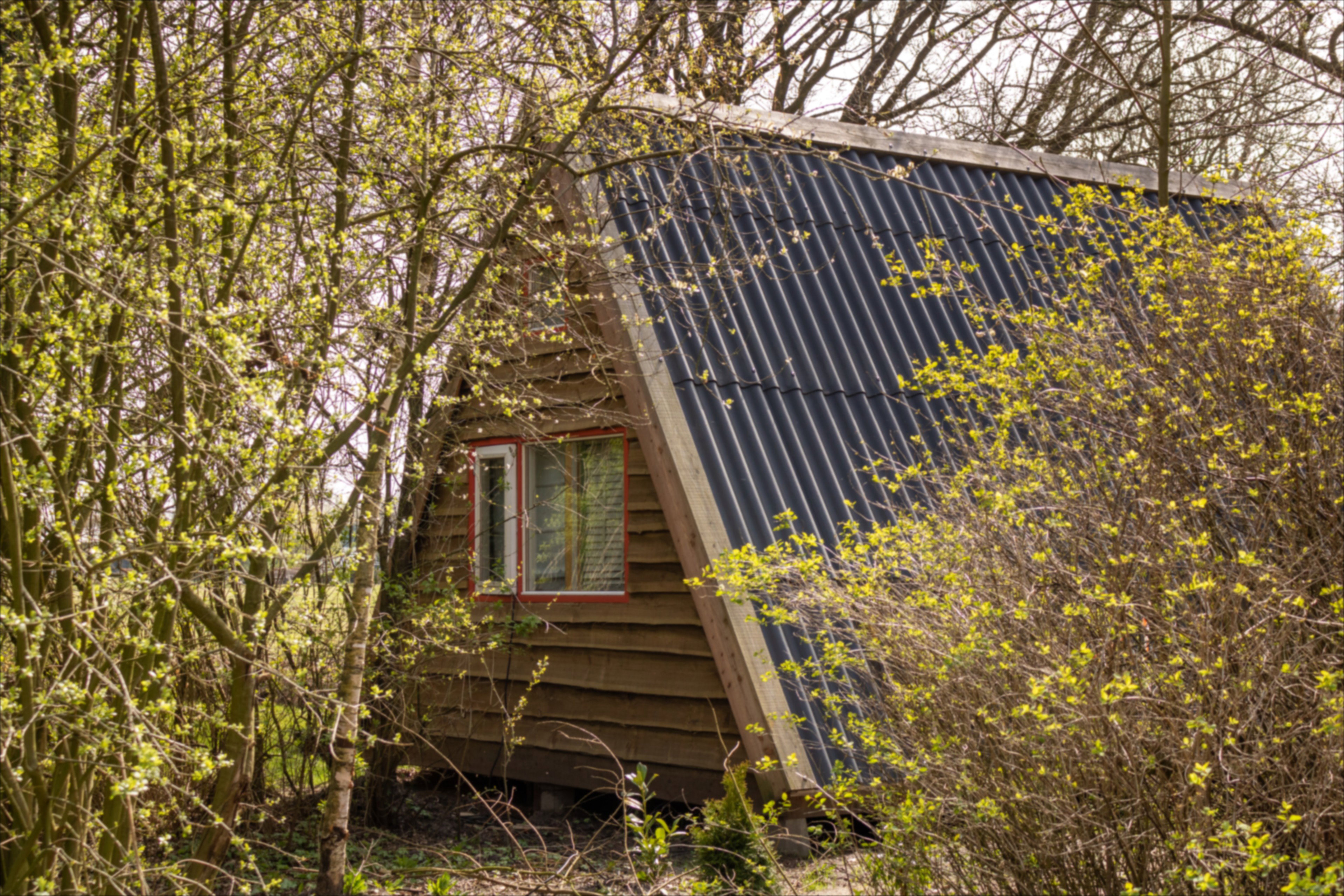 Maison nature à Drouwenerveen