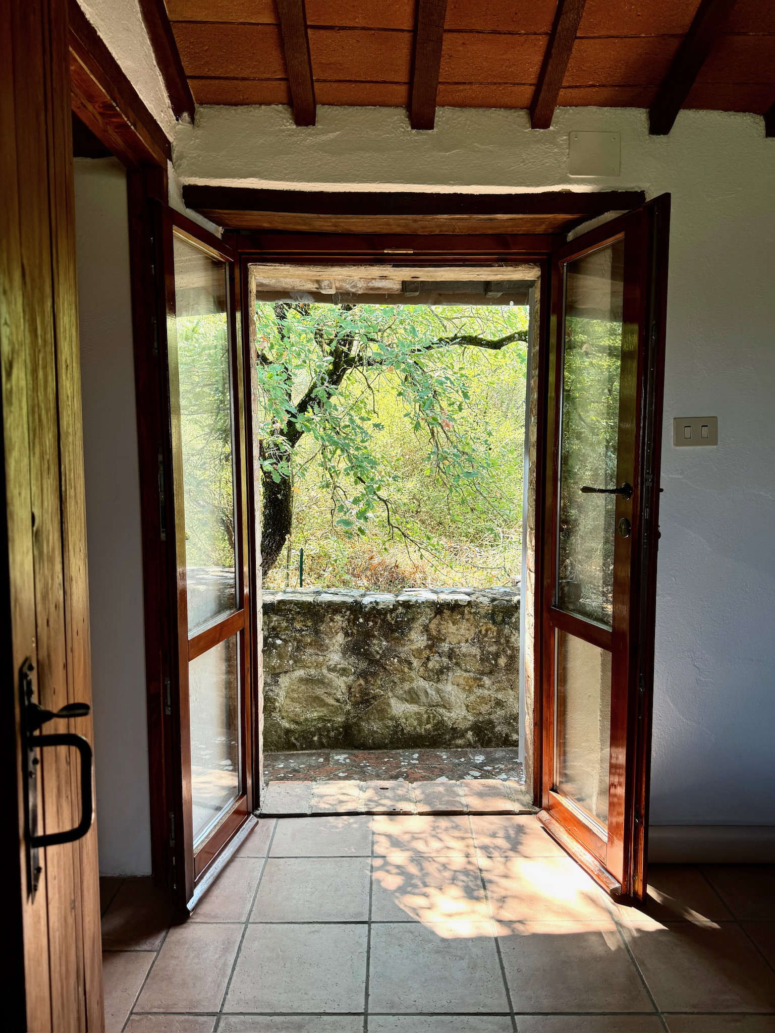 - image: 19