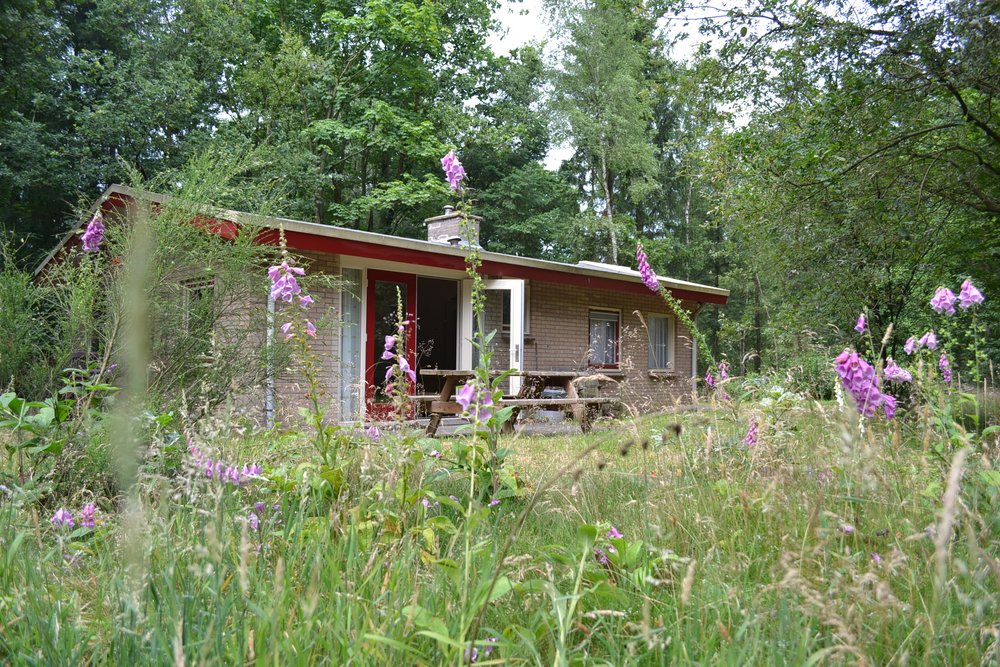 Naturhäuschen in Elspeet