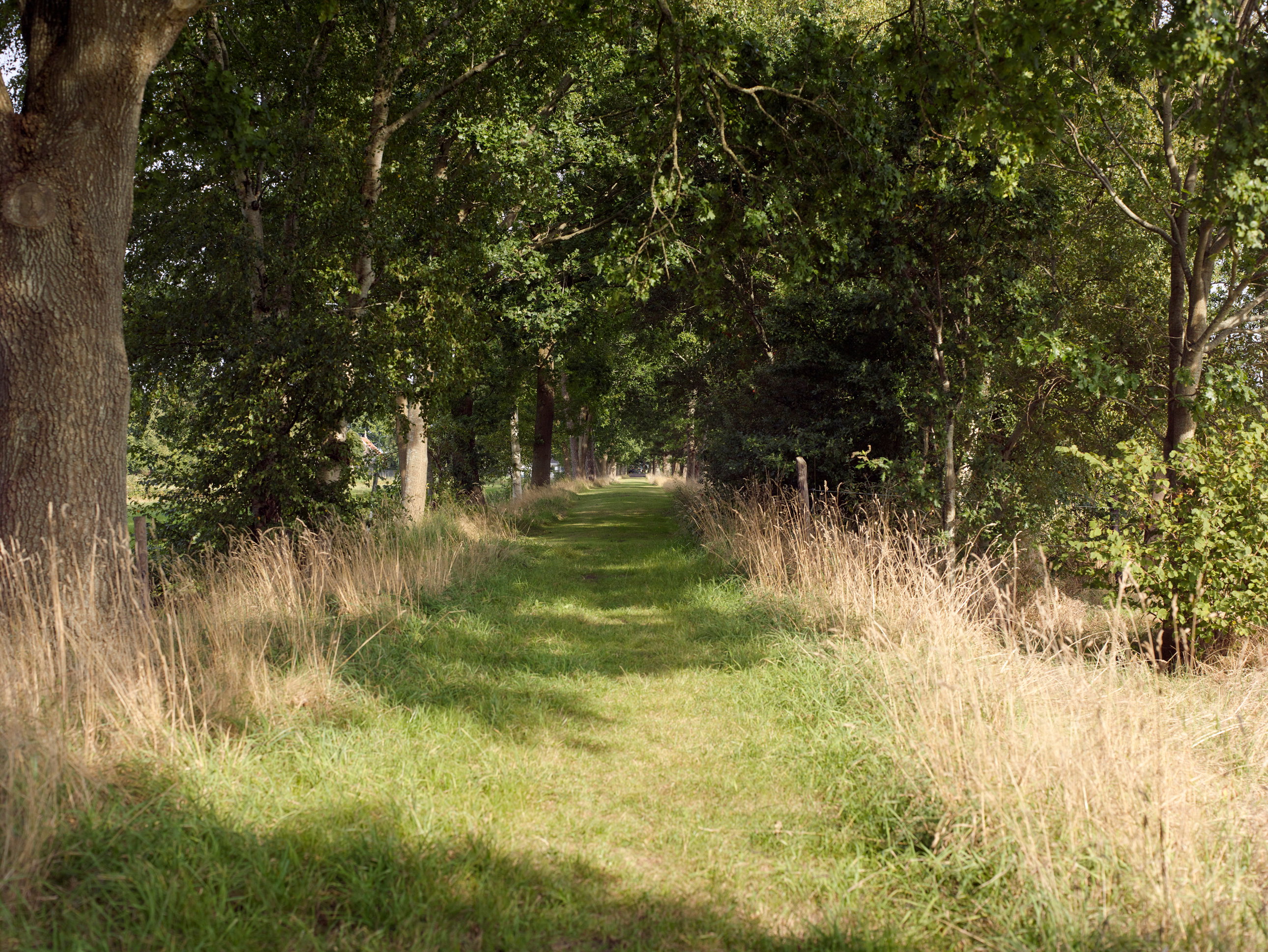 - image: 15