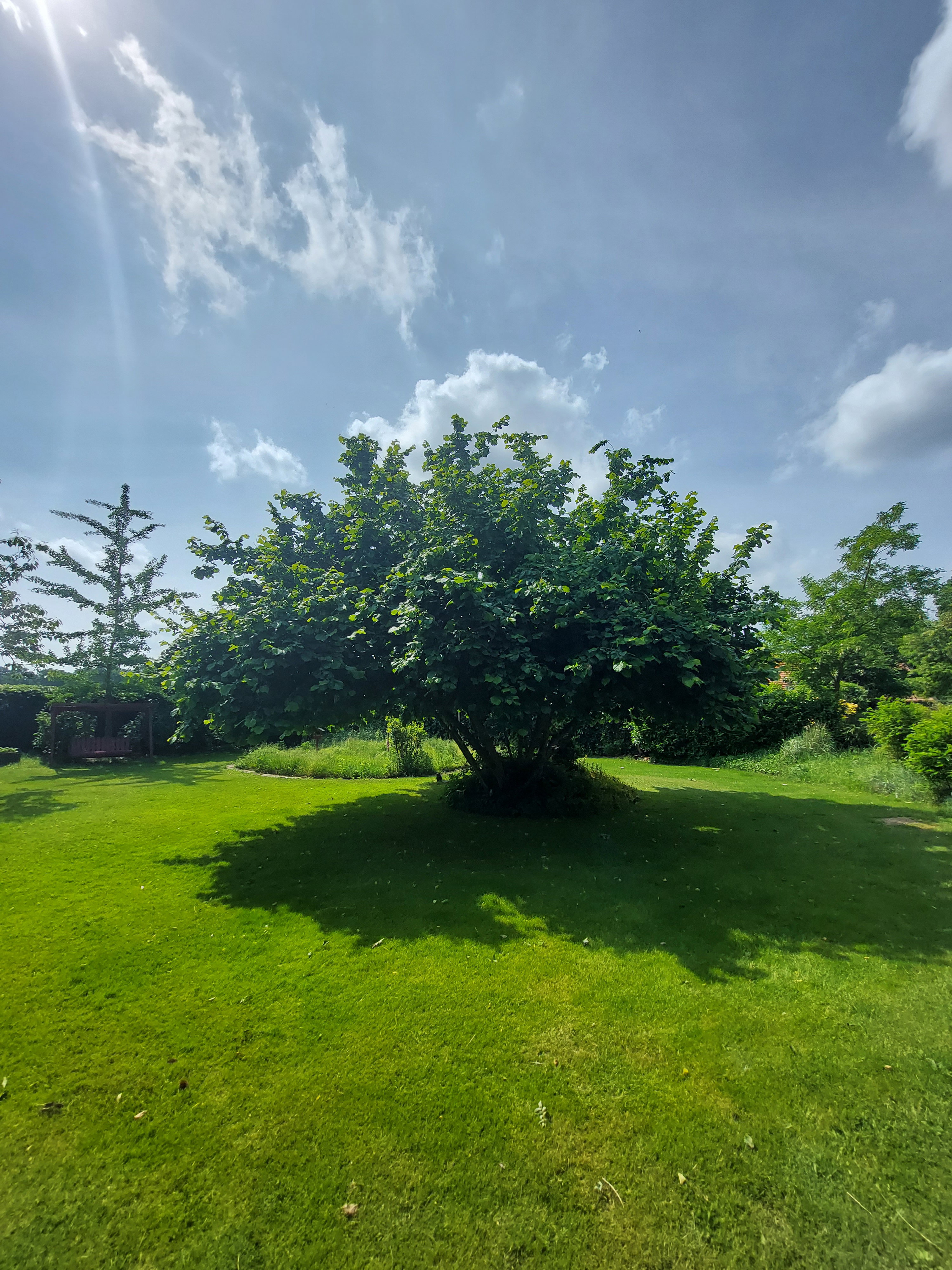 Natuurhuisje in Well (L)