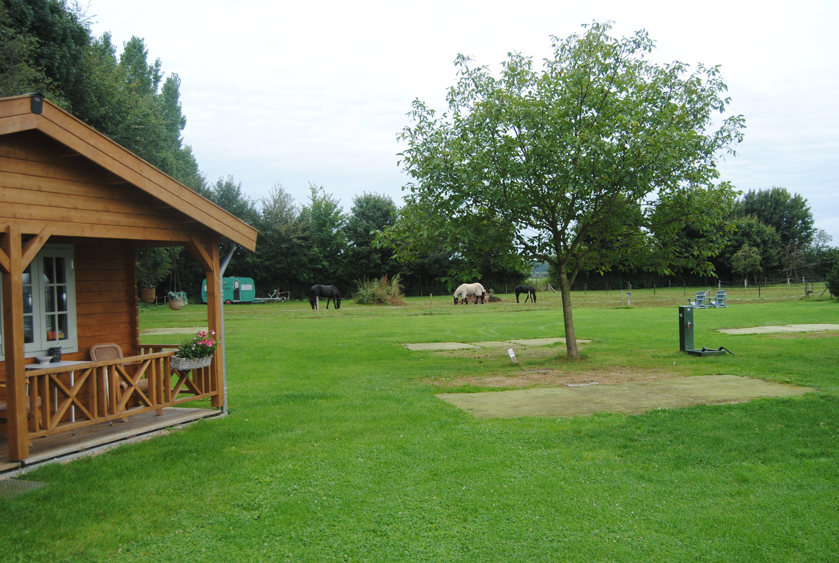 - image: 12
