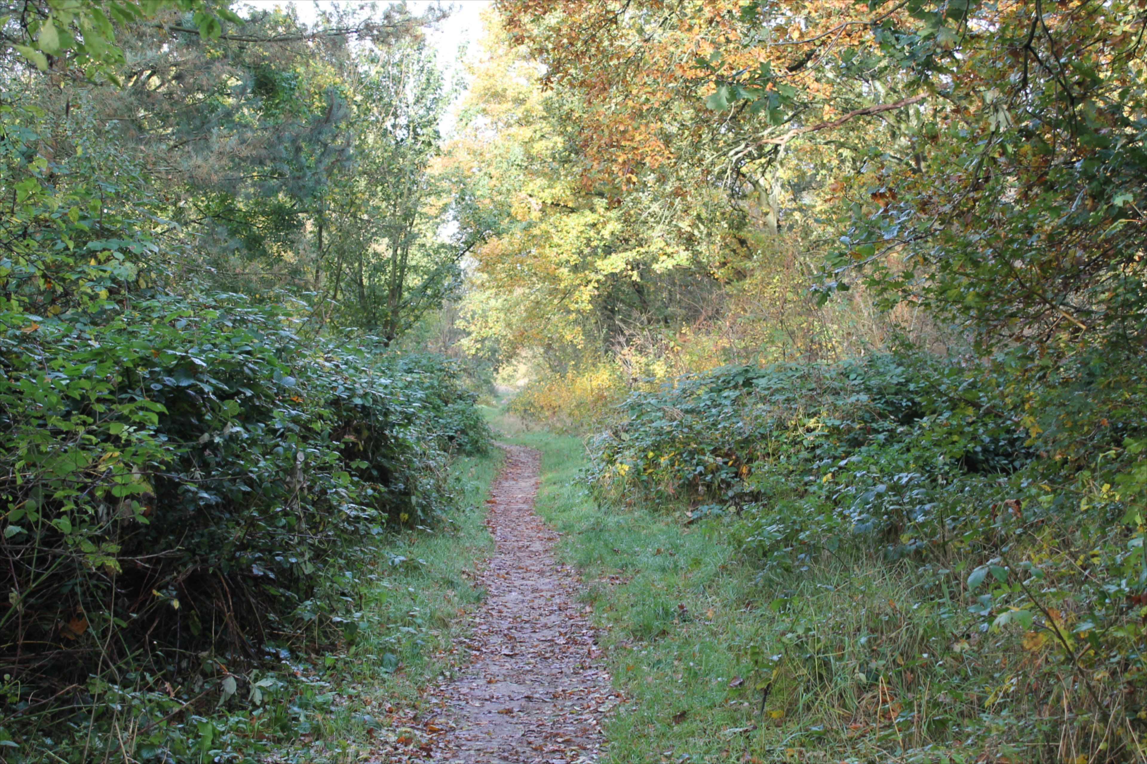 - image: 28