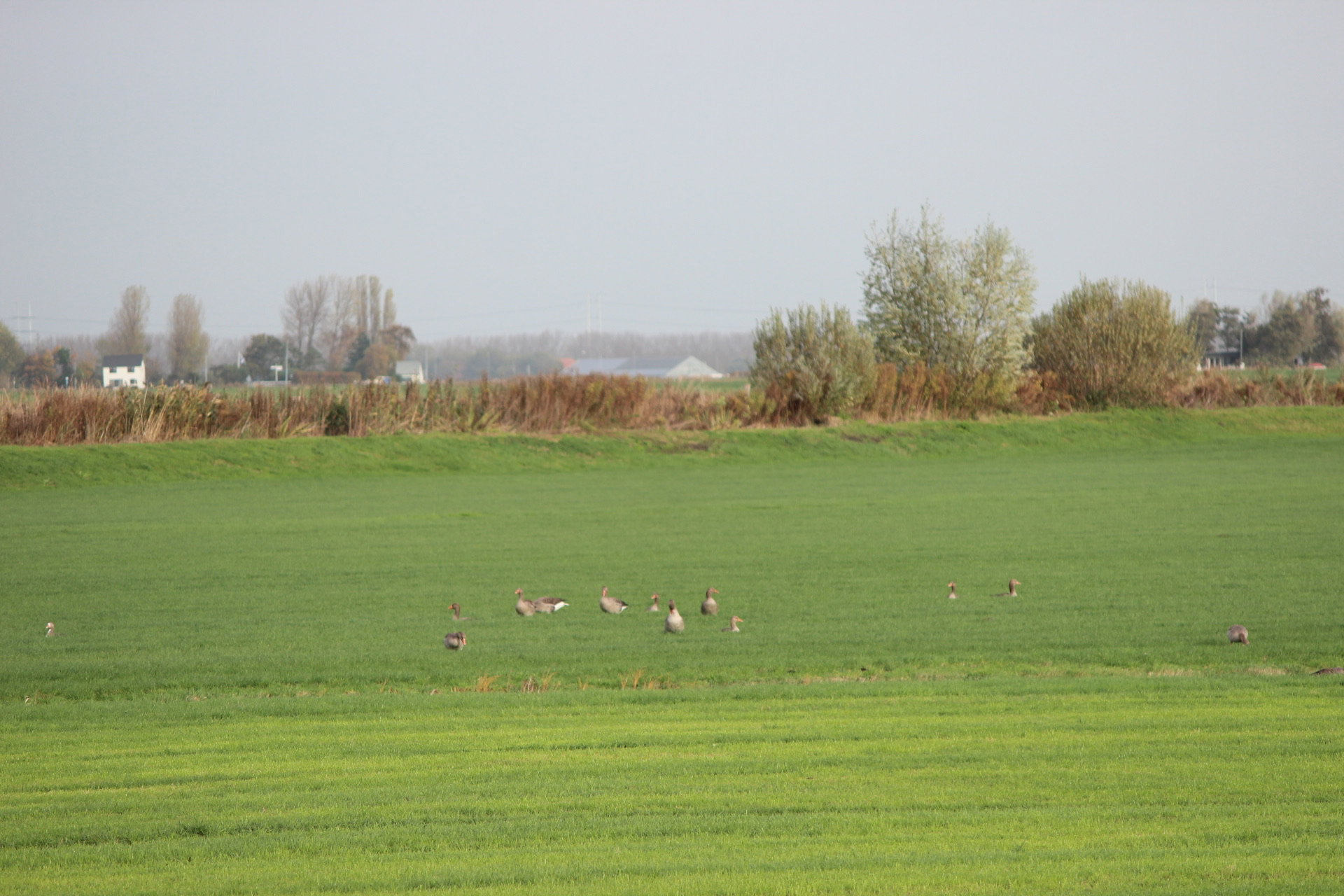 Casa nella natura a Rijpwetering (Kagerplassen)