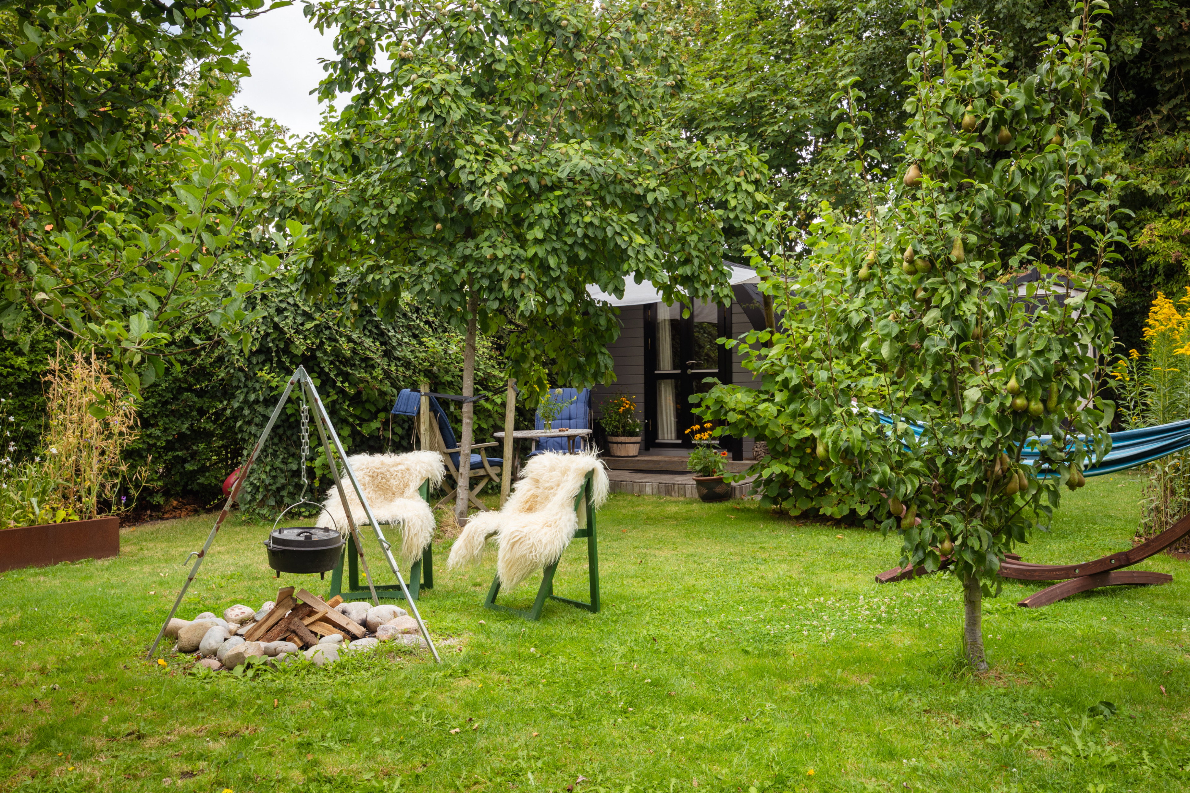 - image: 45