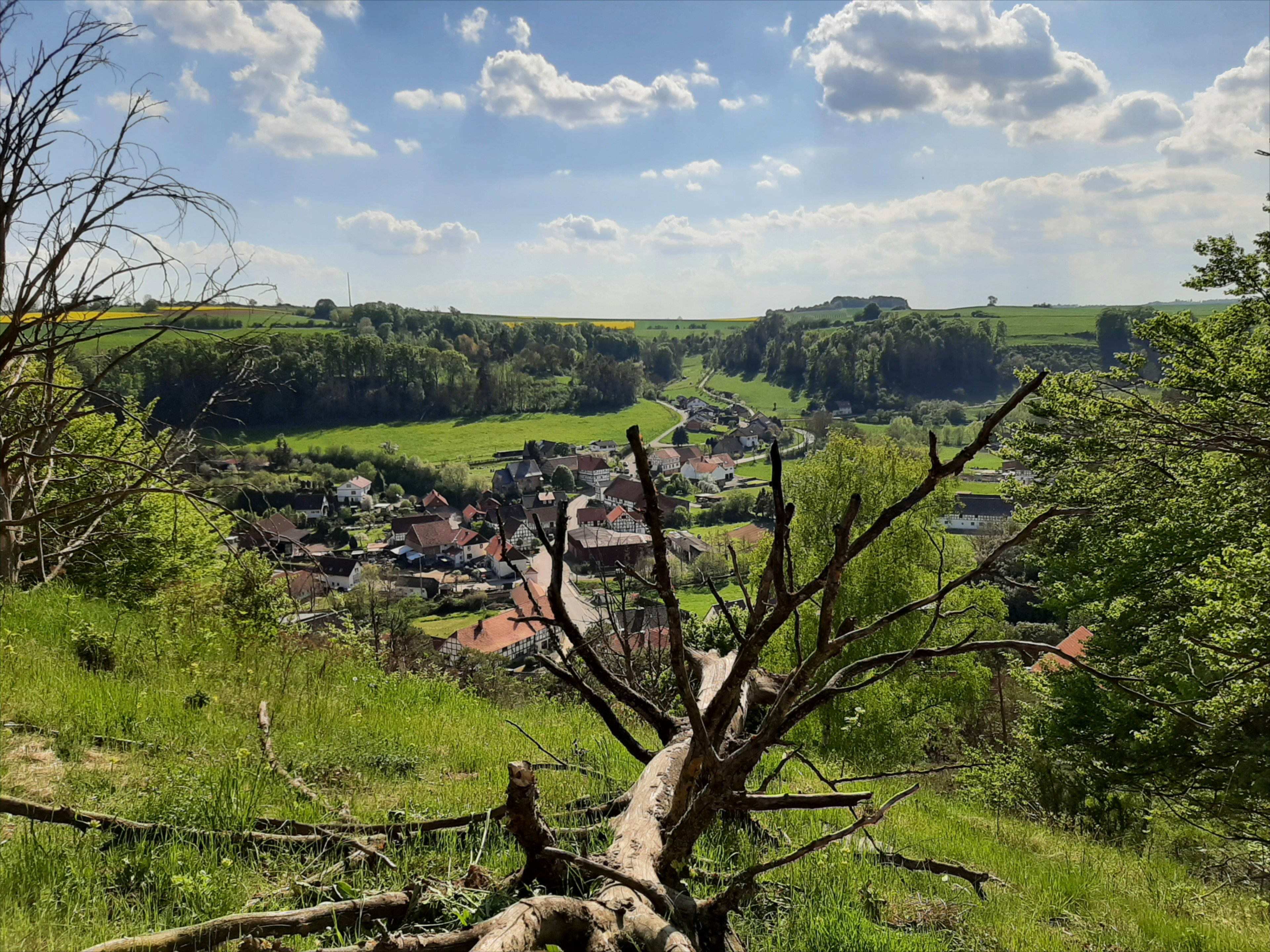 - image: 26