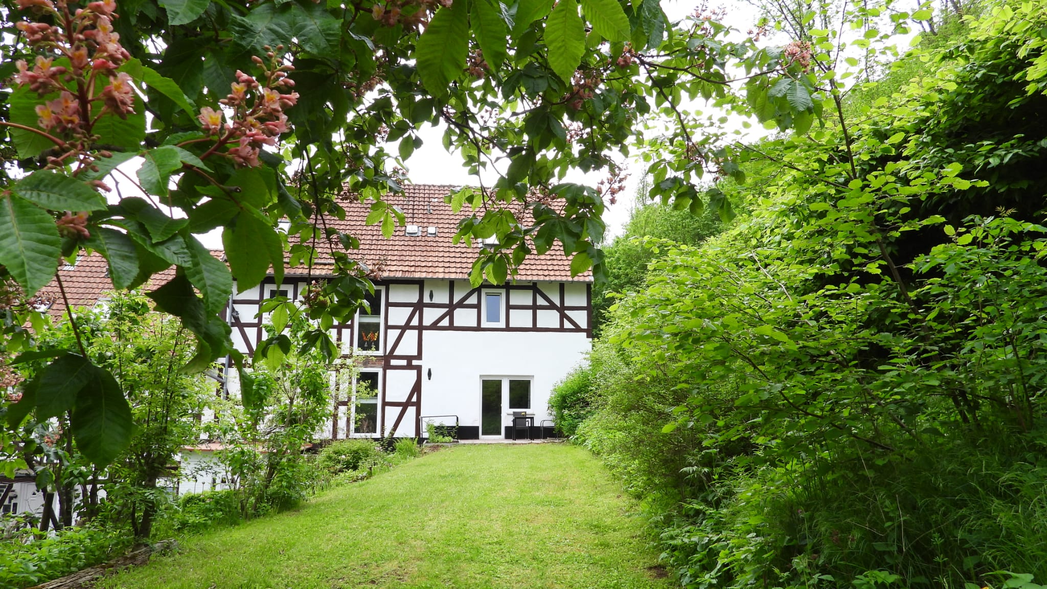 Naturhäuschen in Waldeck - Ober-Werbe