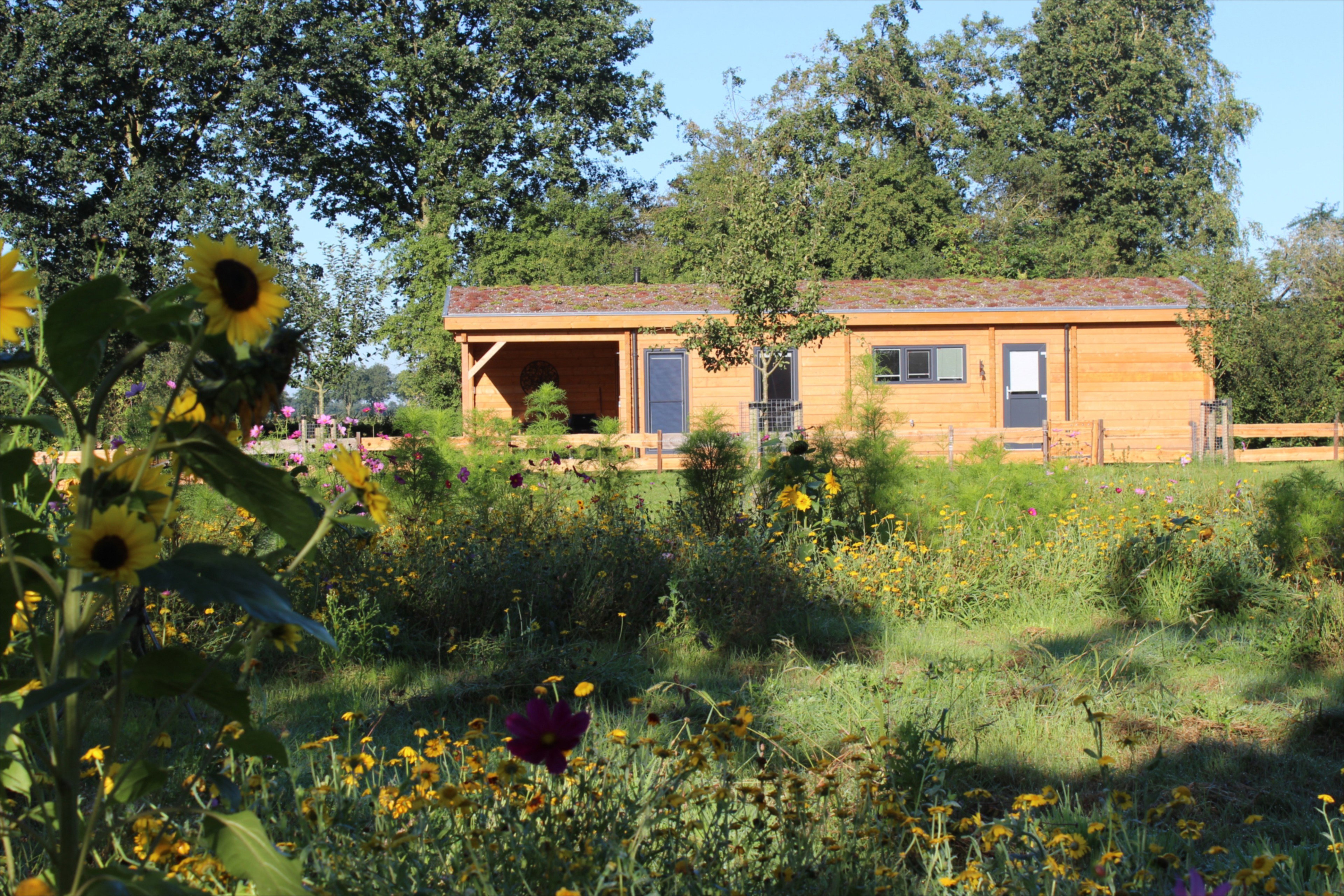 Casa nella natura a Oldekerk