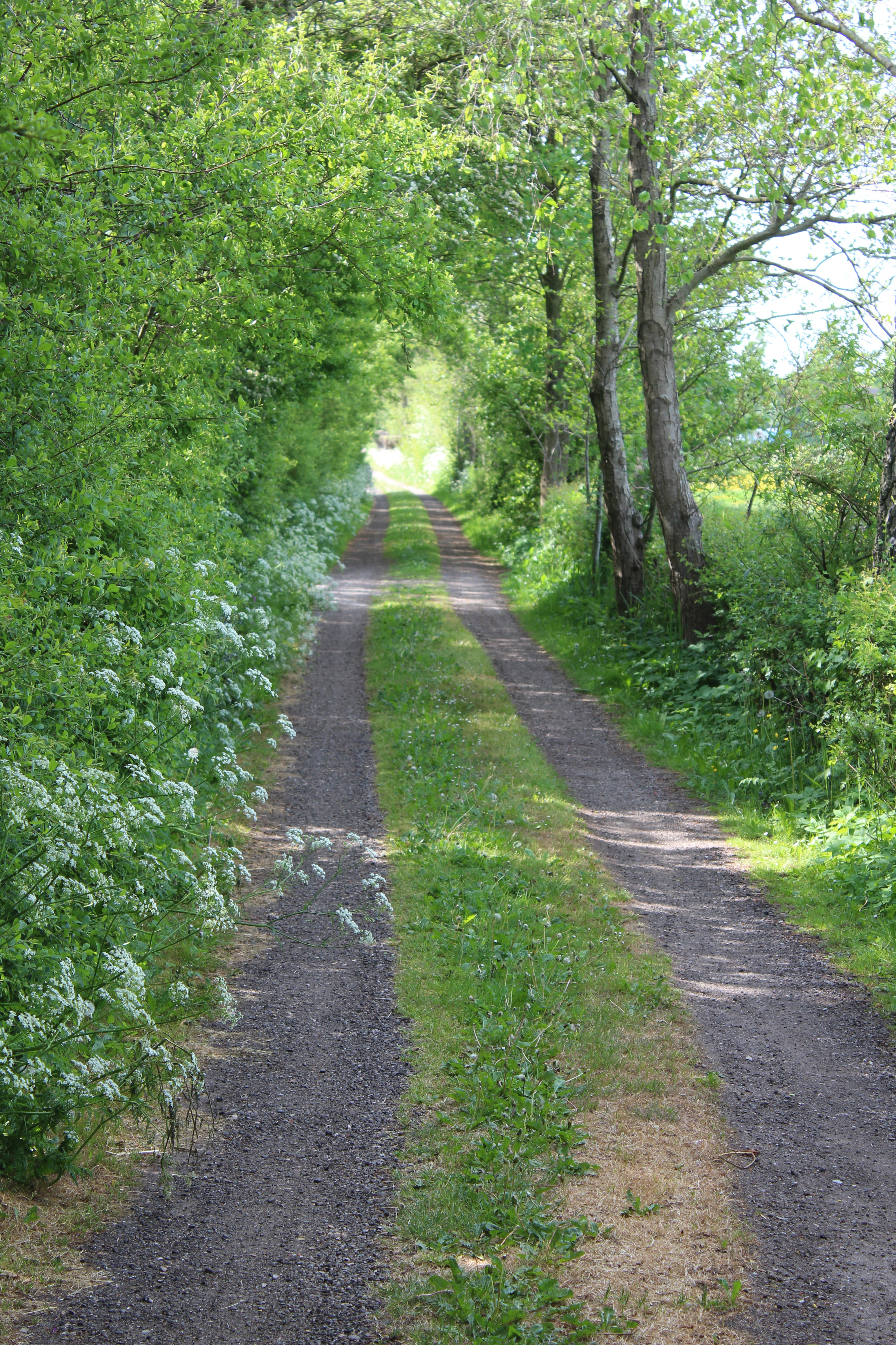 - image: 11