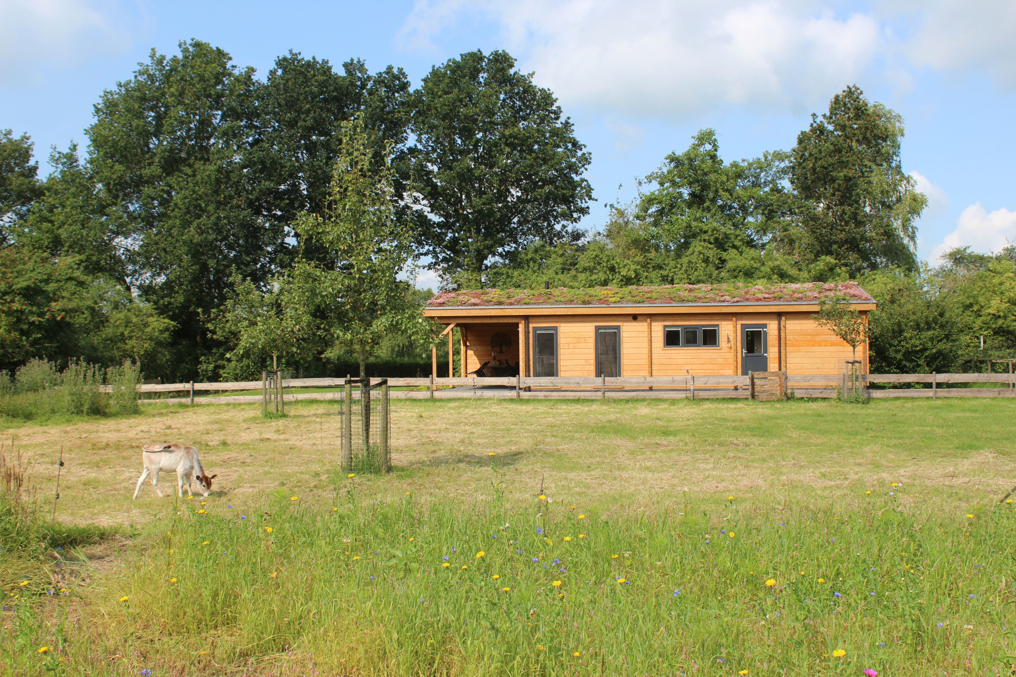 Casa nella natura a Oldekerk