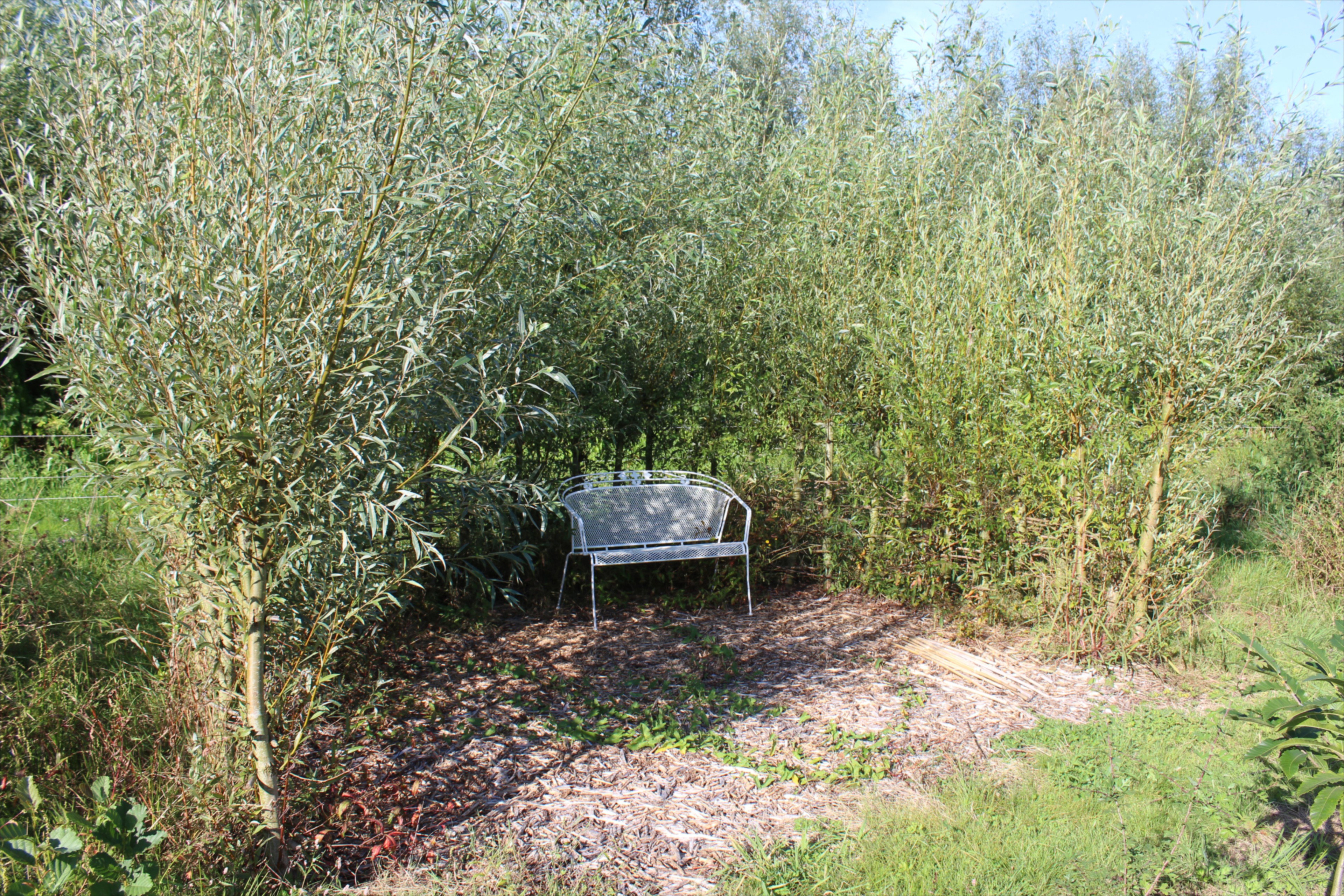 - image: 25