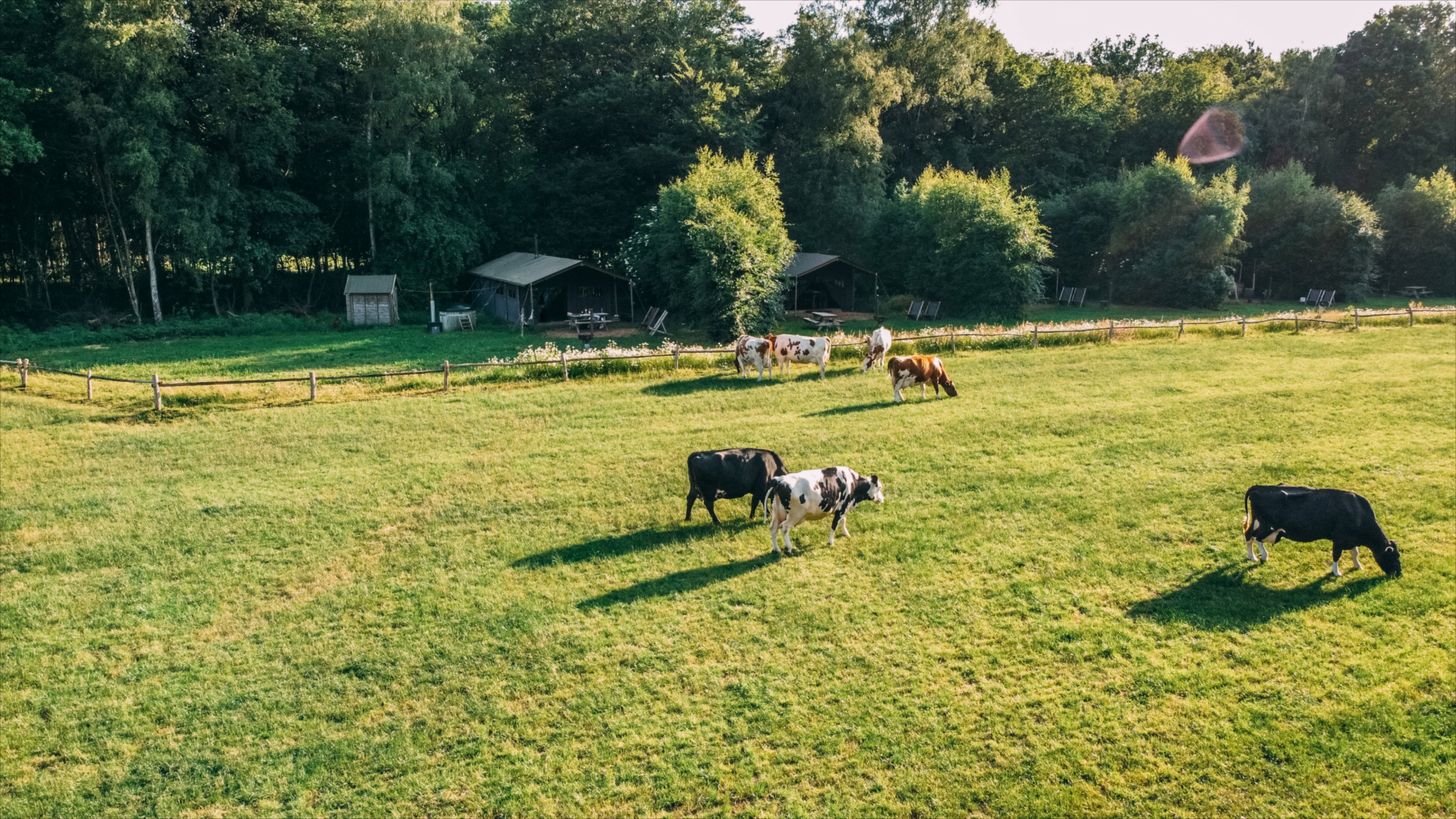 Naturhäuschen in Ermelo