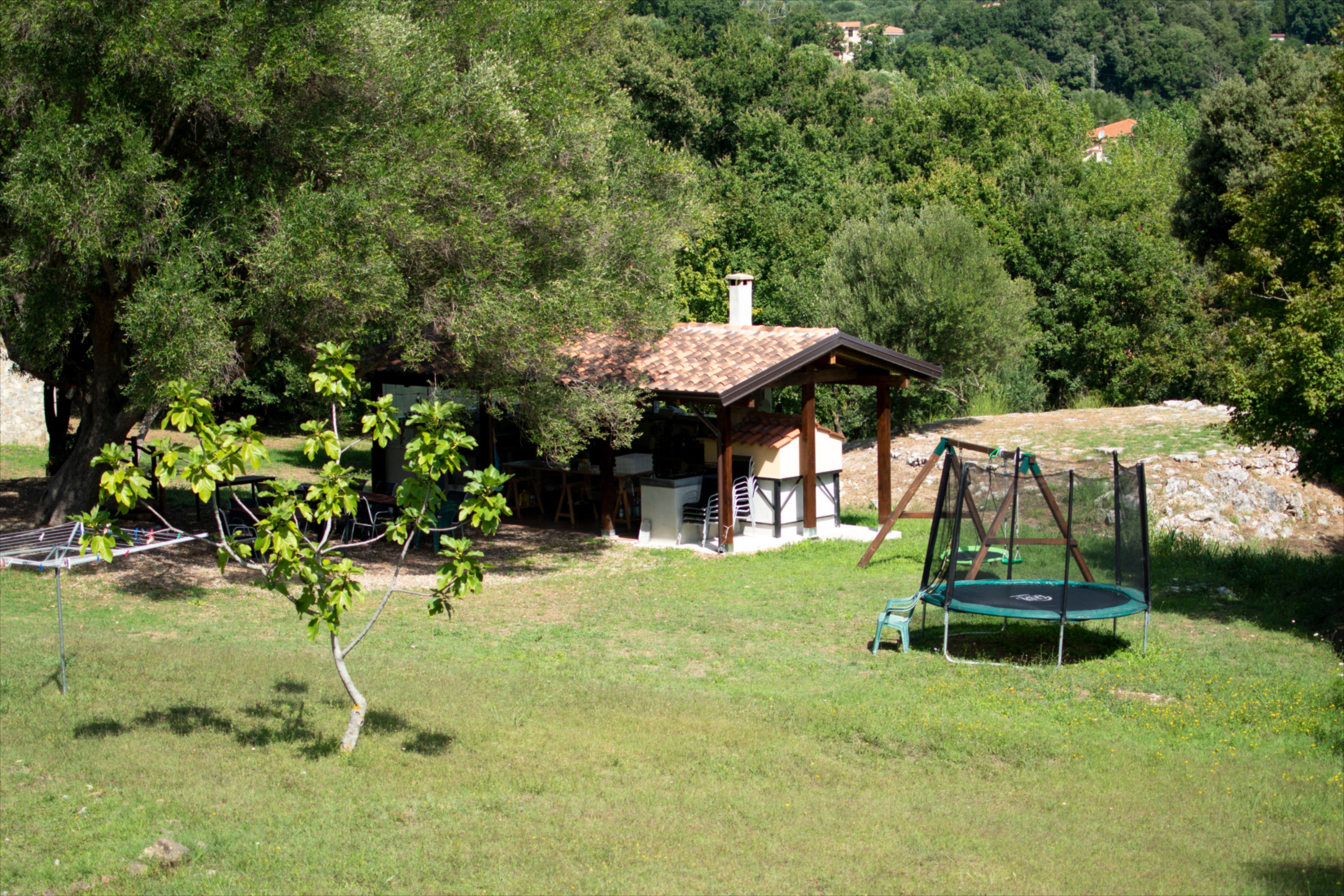 - image: 12