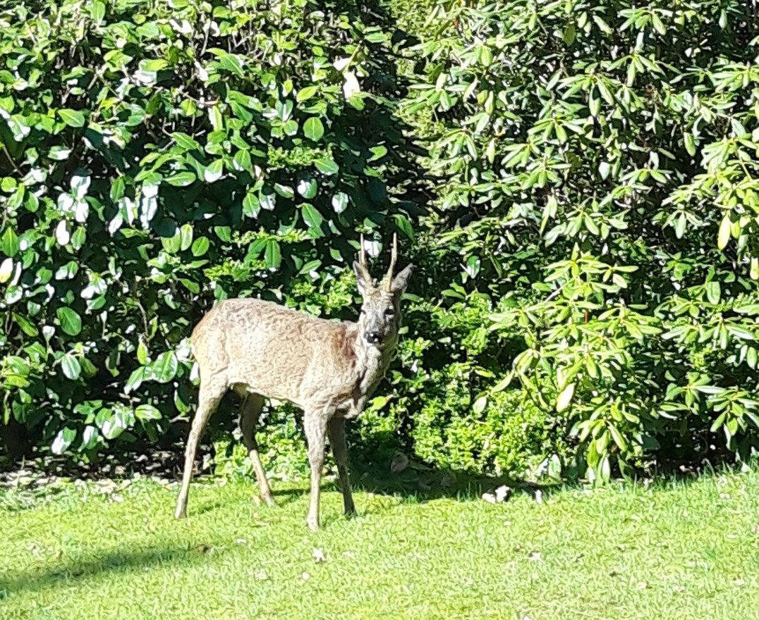 Naturhäuschen in Epe
