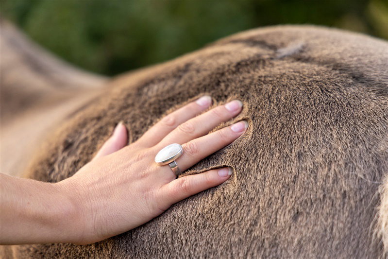 - image: 17