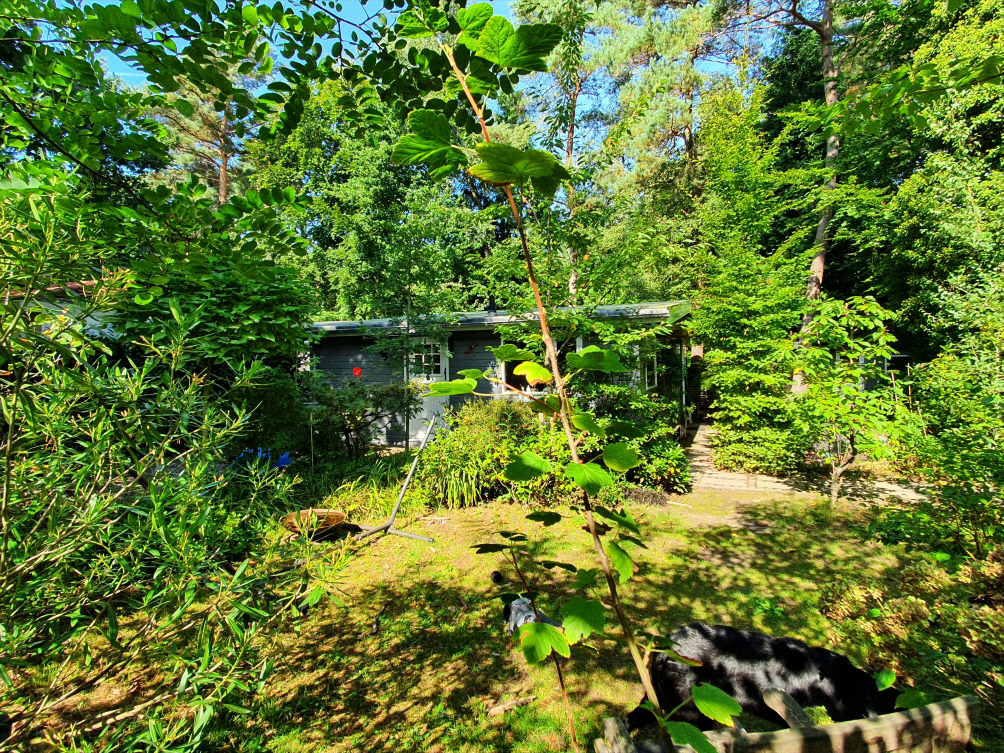 Natuurhuisje in Oisterwijk
