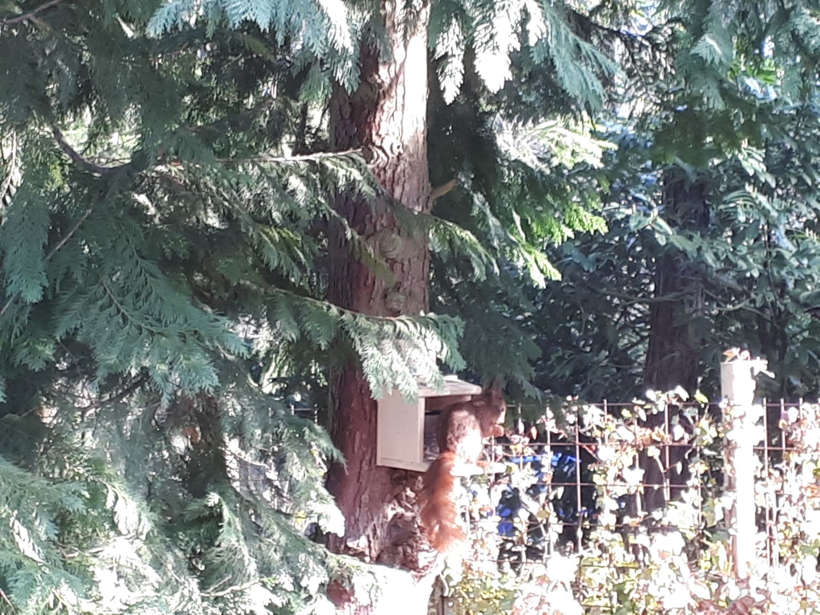 Natuurhuisje in Oisterwijk