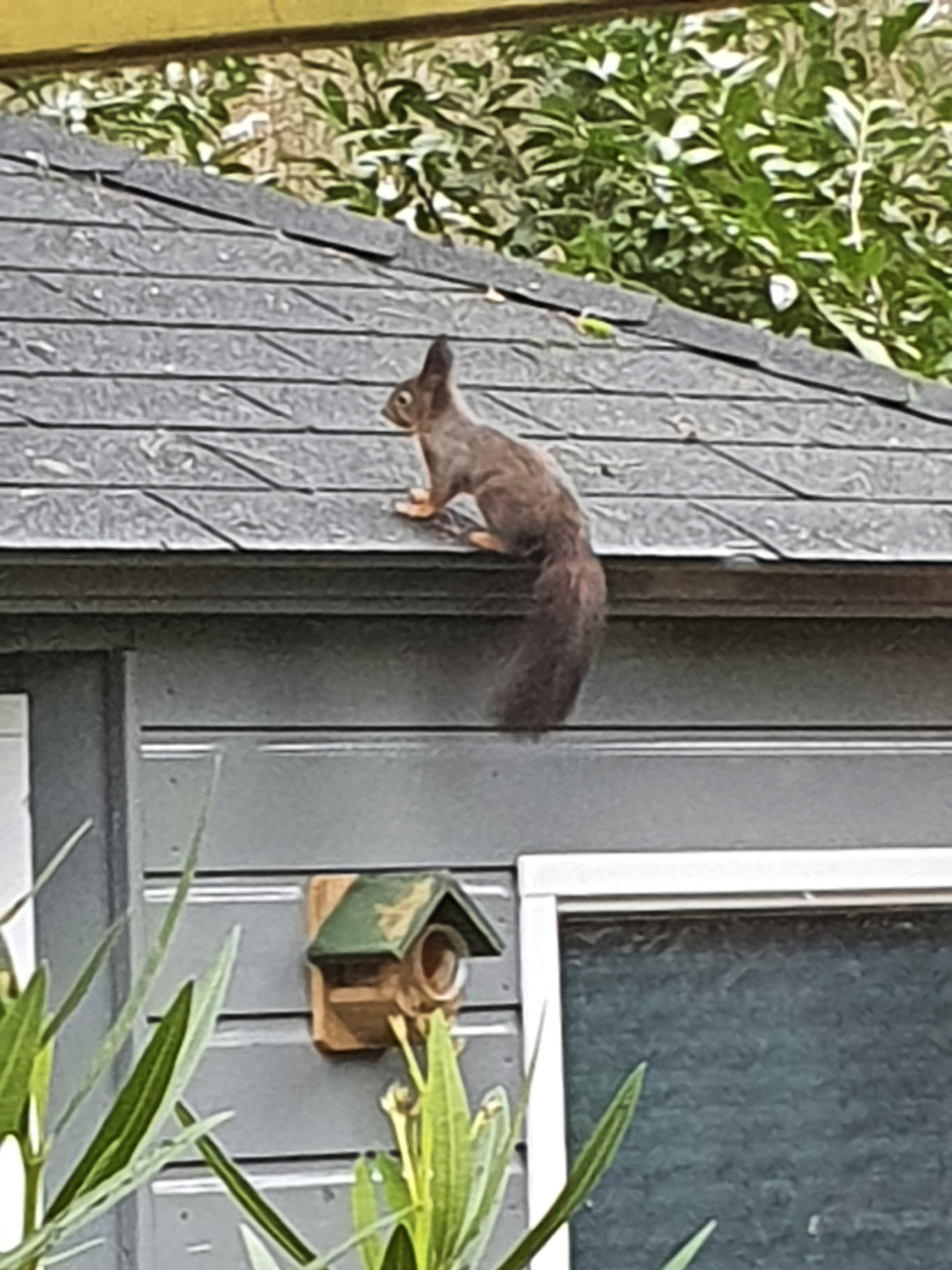 Natuurhuisje in Oisterwijk
