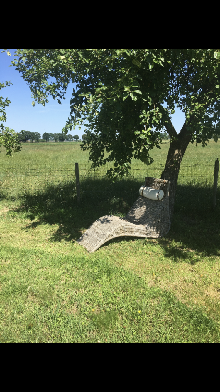 Naturhäuschen in Drempt