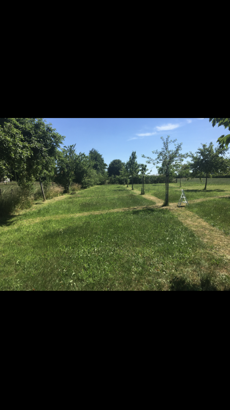Naturhäuschen in Drempt