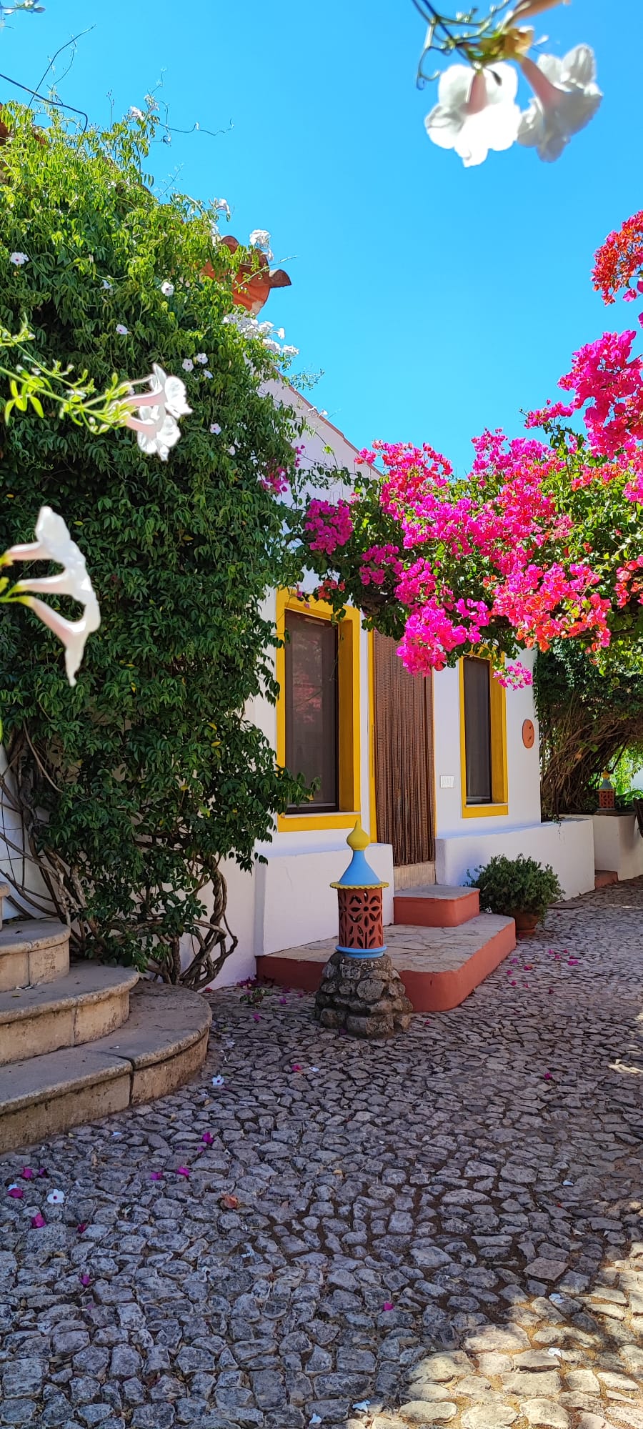Casa nella natura a São Brás de Alportel