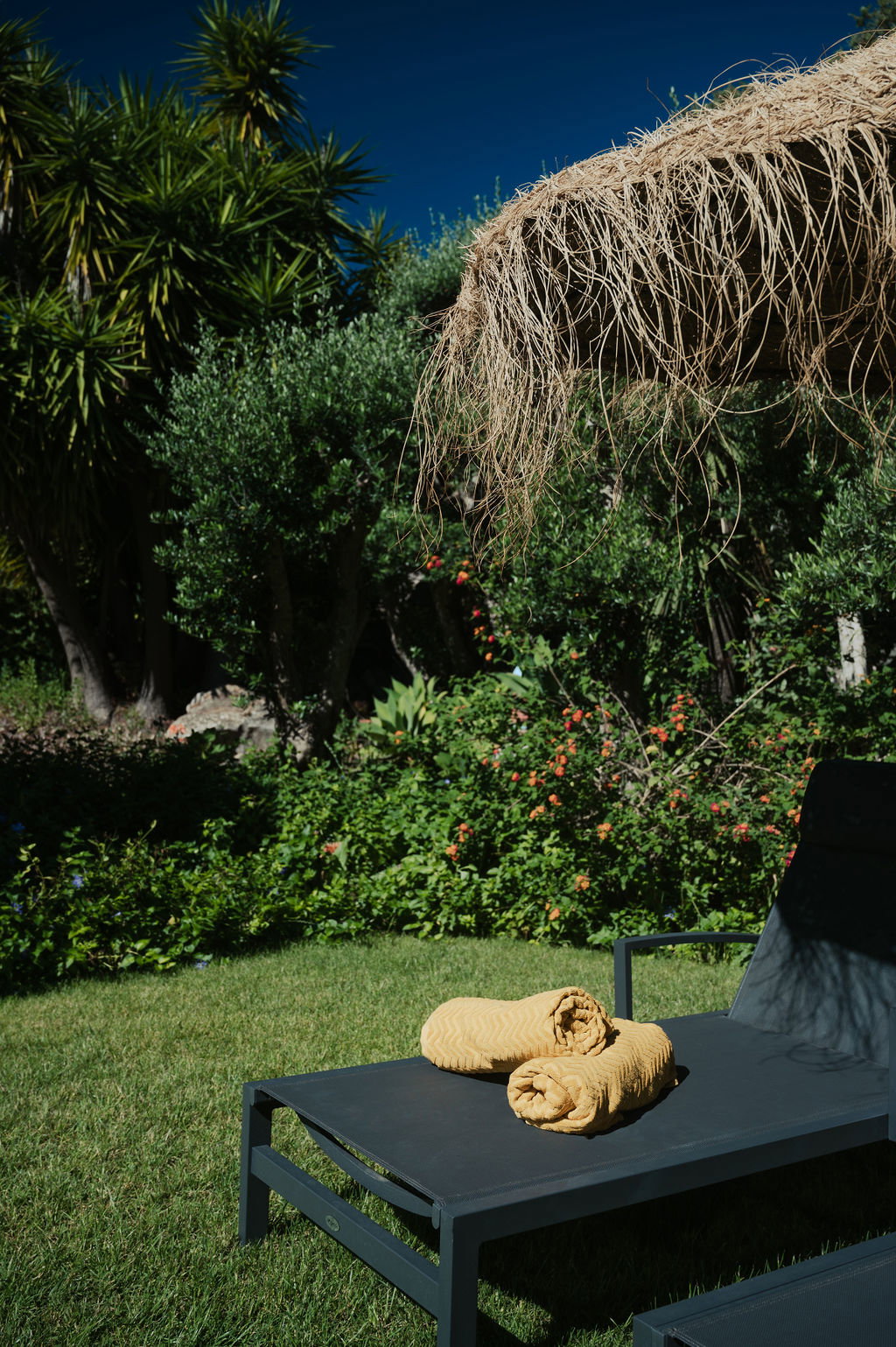 - image: 33