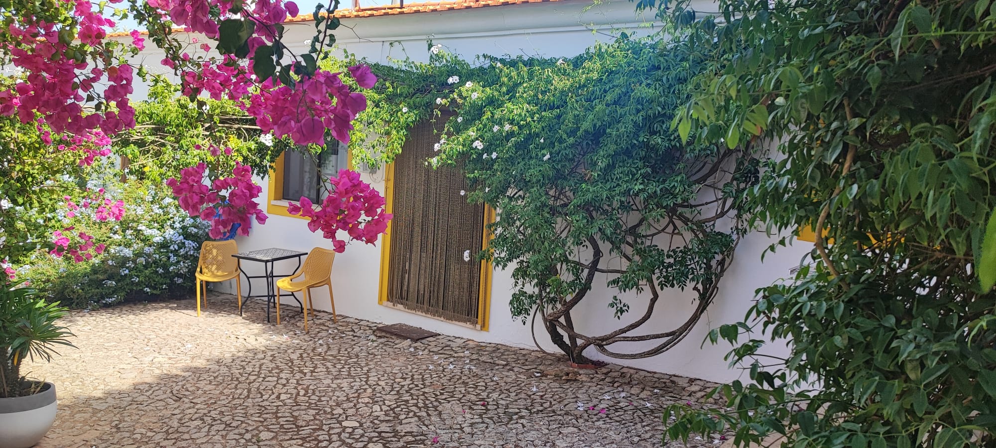 Casa nella natura a São Brás de Alportel