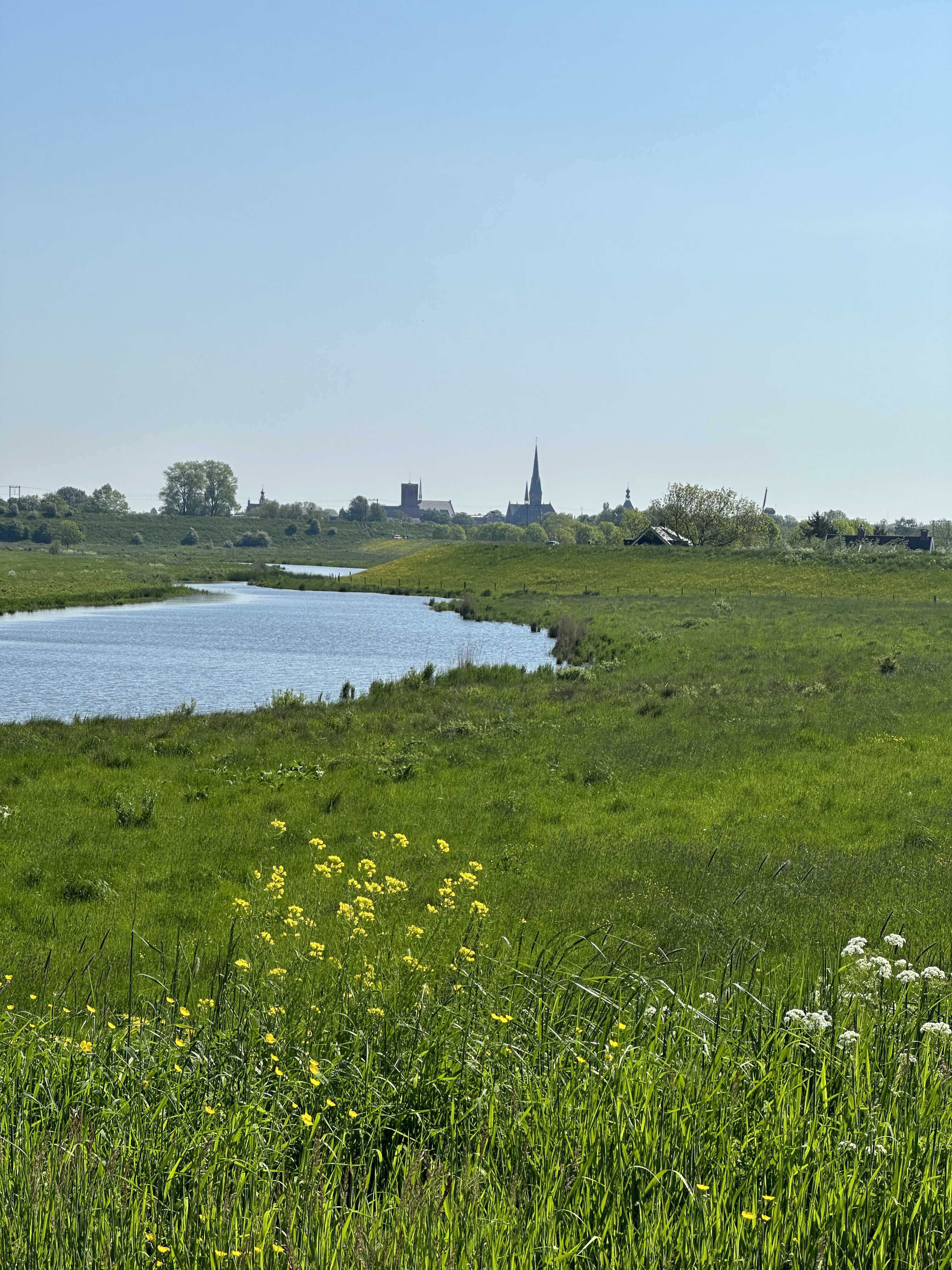 - image: 85