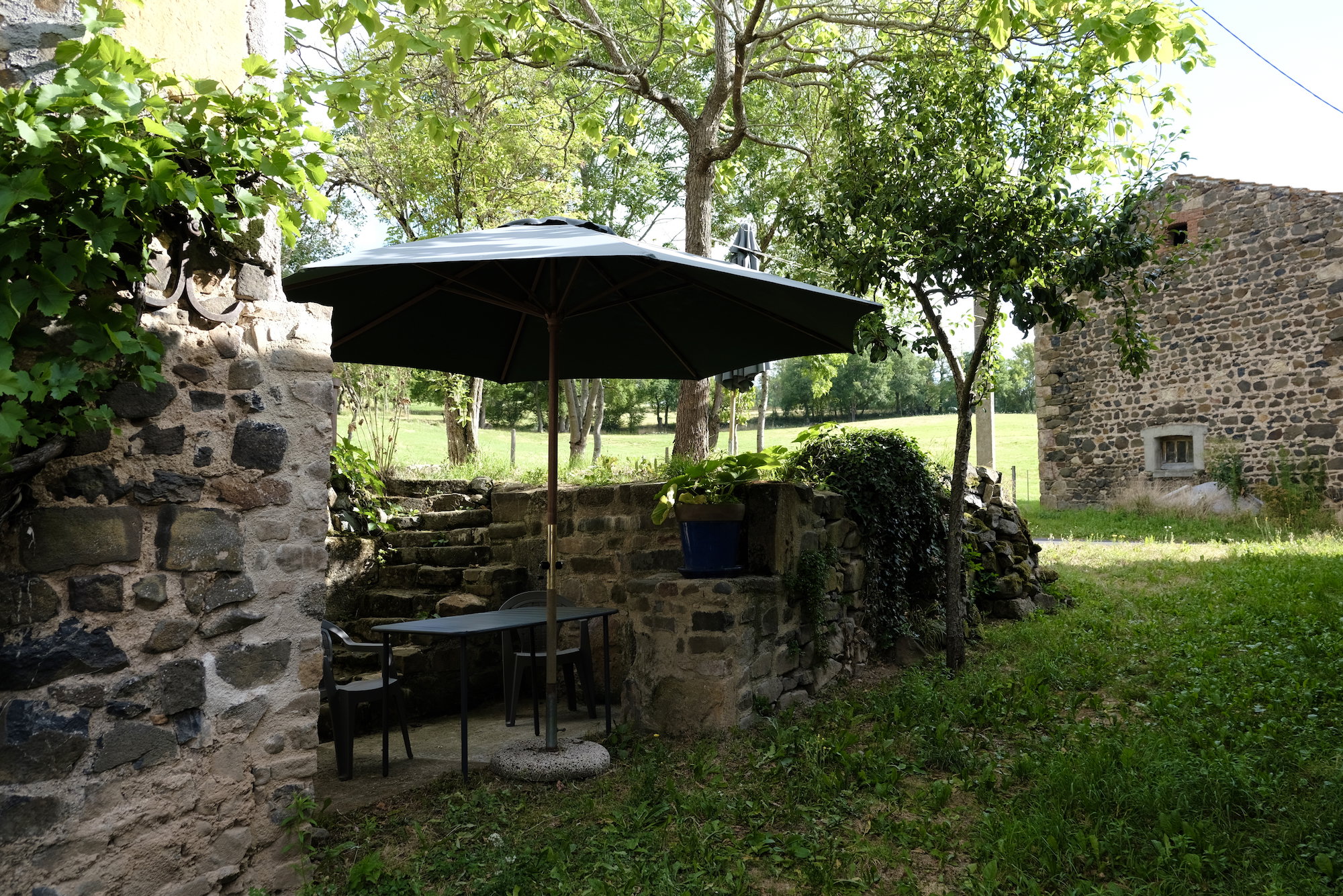 - image: 13